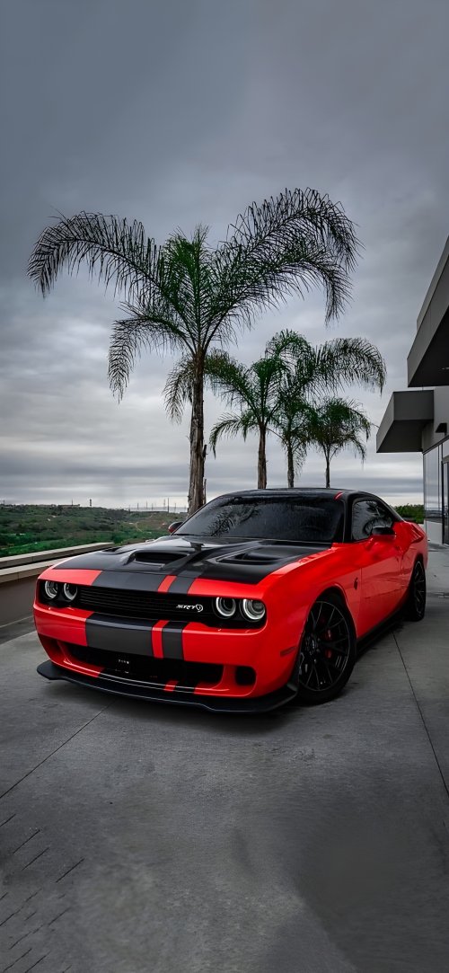 Dodge 24h : Auto Changer - Noon wallpaper