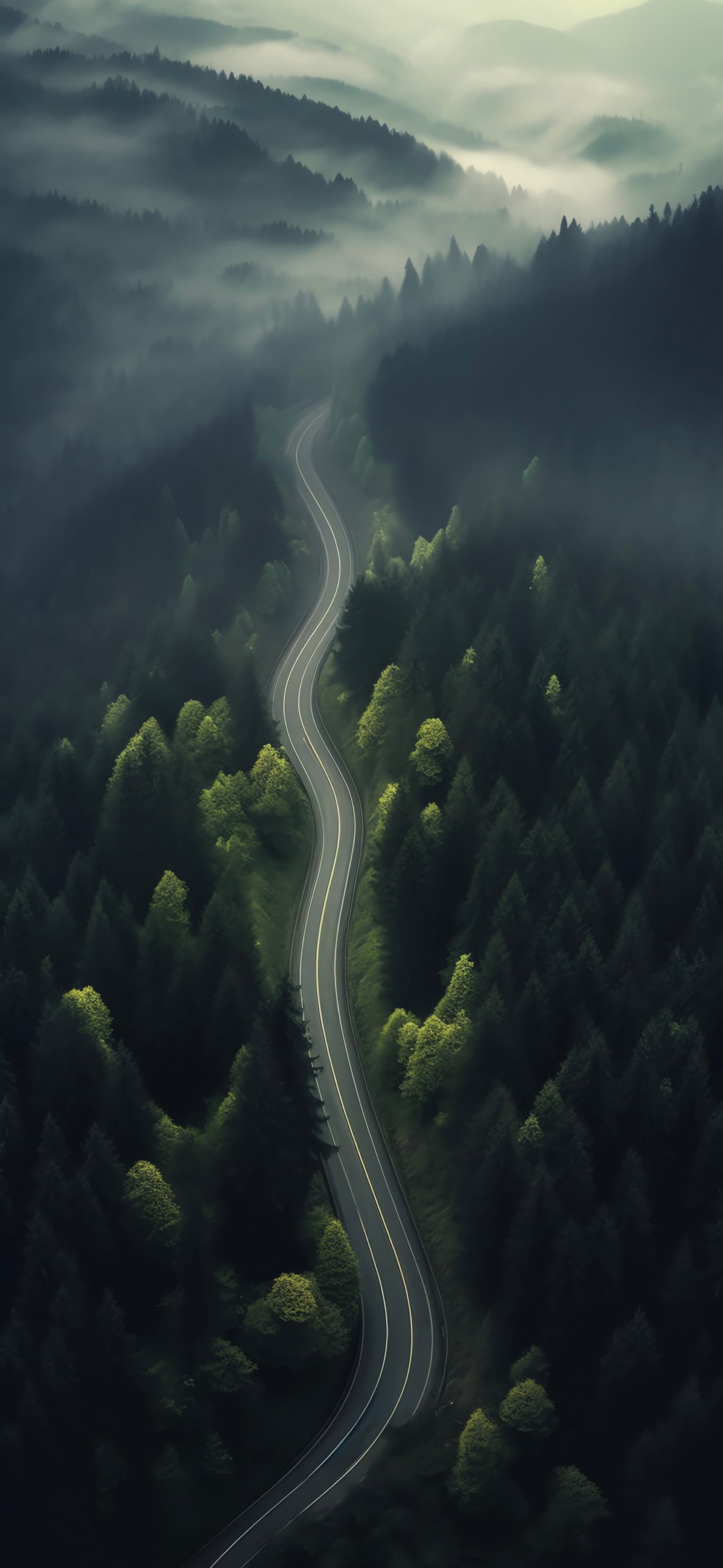 Winding Misty Forest Road - road wallpaper for Darkify