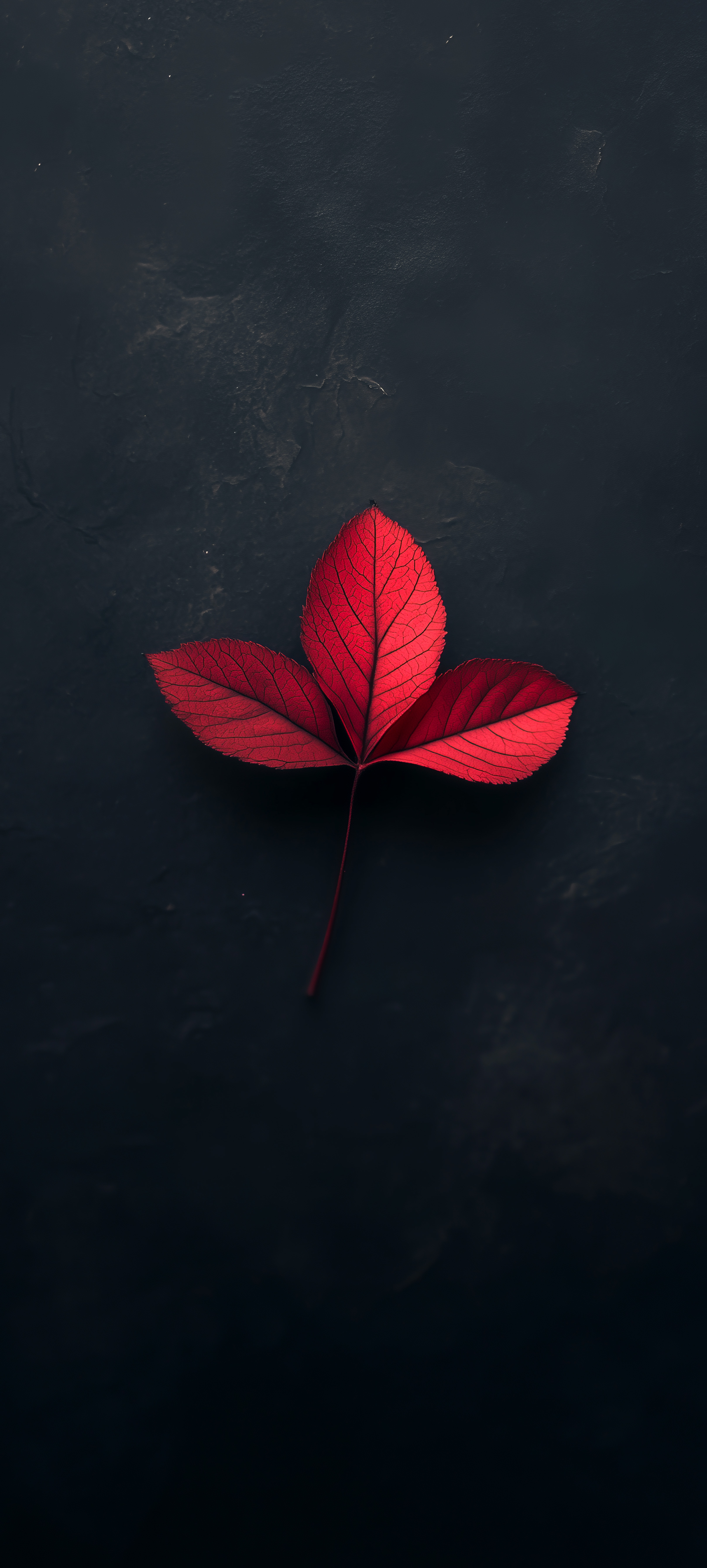 Vibrant Red Leaf - leaf wallpaper for Darkify