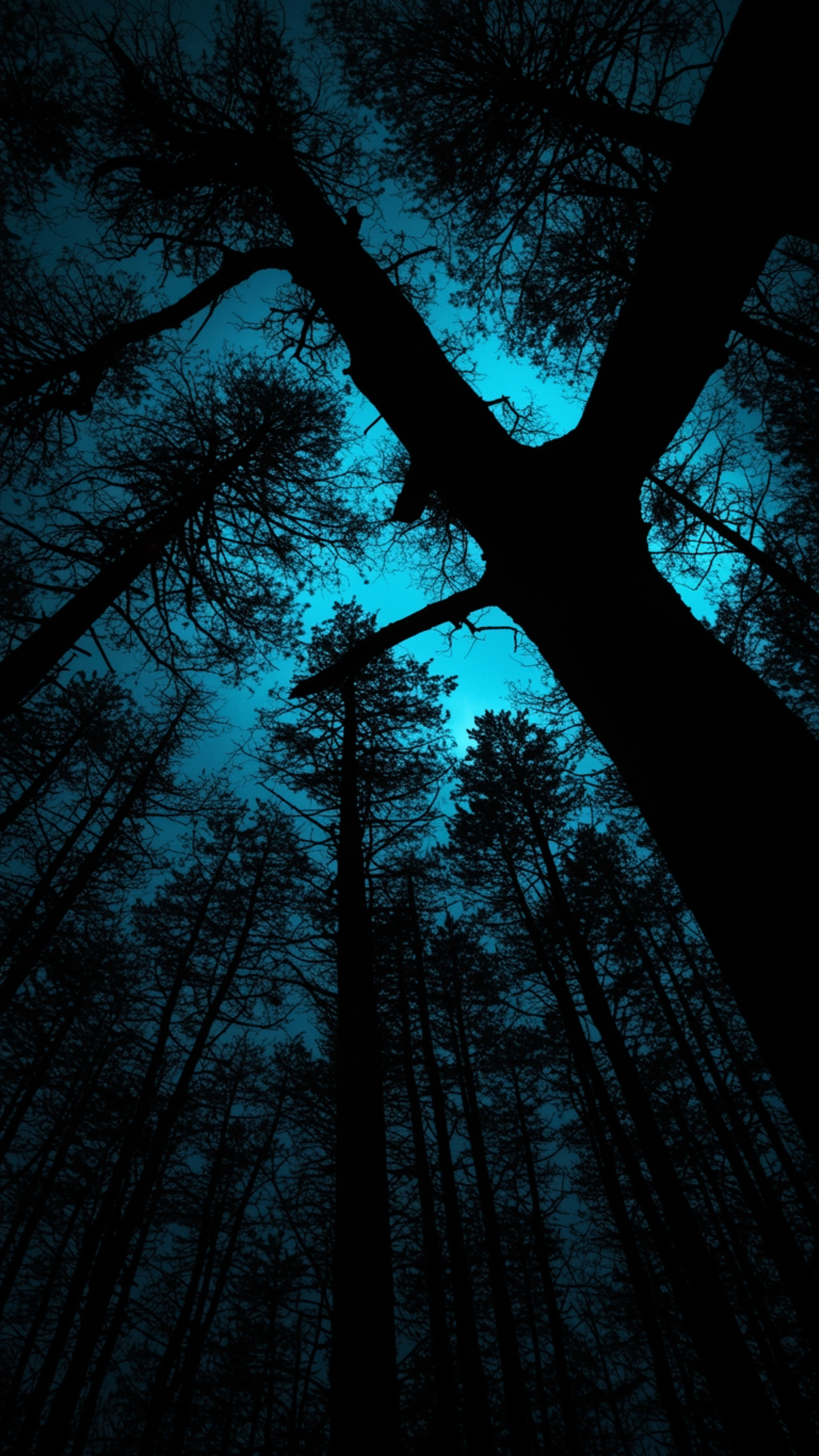 1512330_original_3241x5763_1777166176 - wallpaper for Darkify