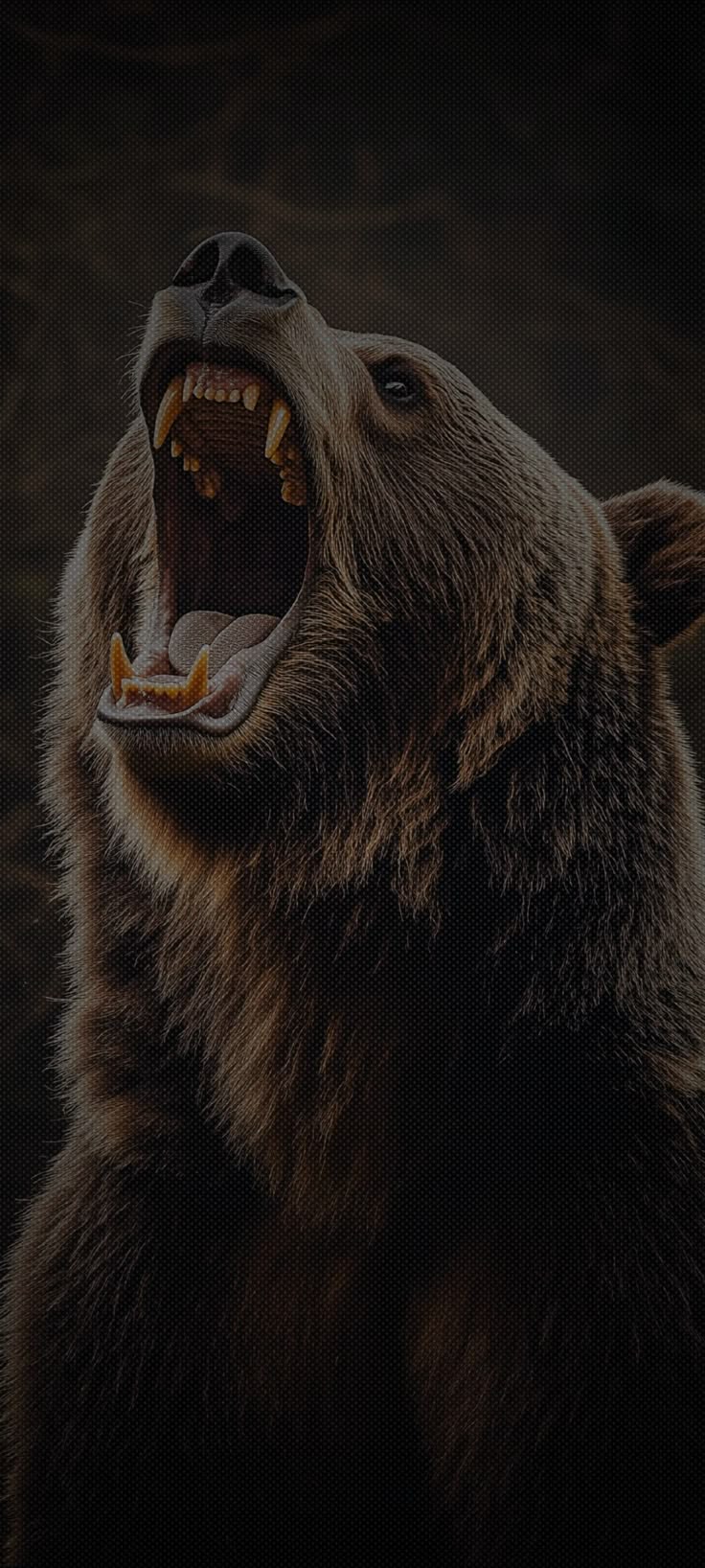 Roaring Grizzly Bear Portrait - animals wallpaper for Darkify