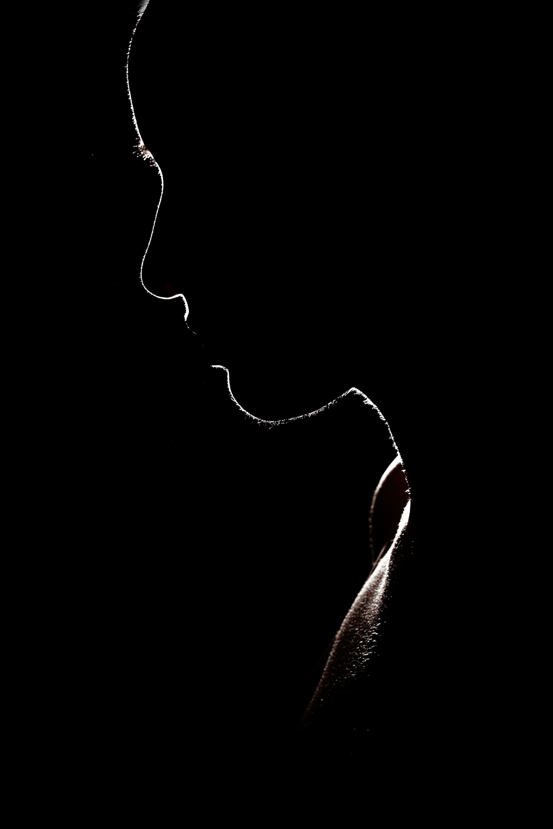 Elegant Minimalist Silhouette - silhouette wallpaper for Darkify