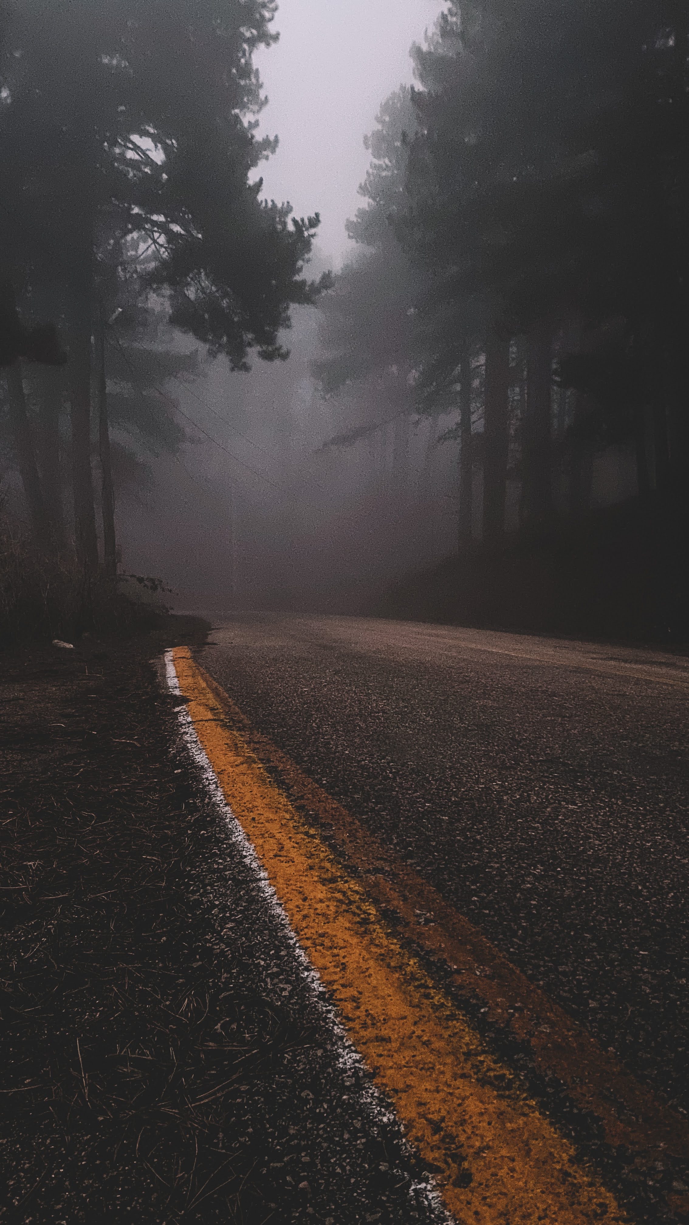 Foggy Forest Road - forest wallpaper for Darkify