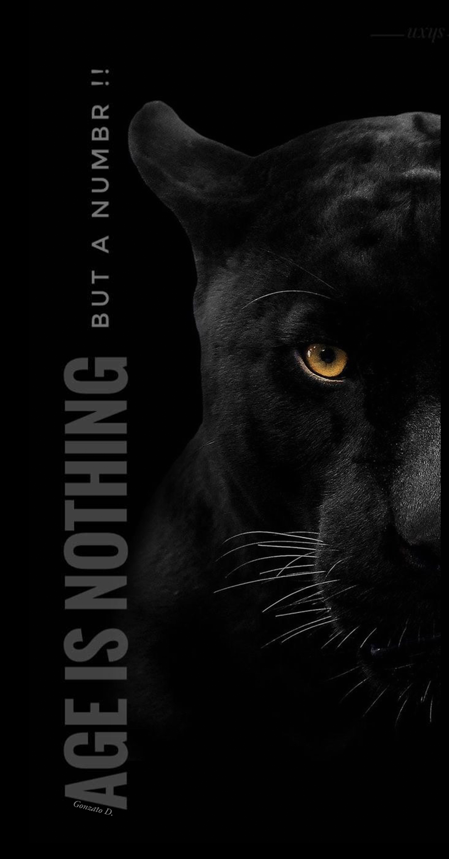 Black Panther Portrait - quotes wallpaper for Darkify
