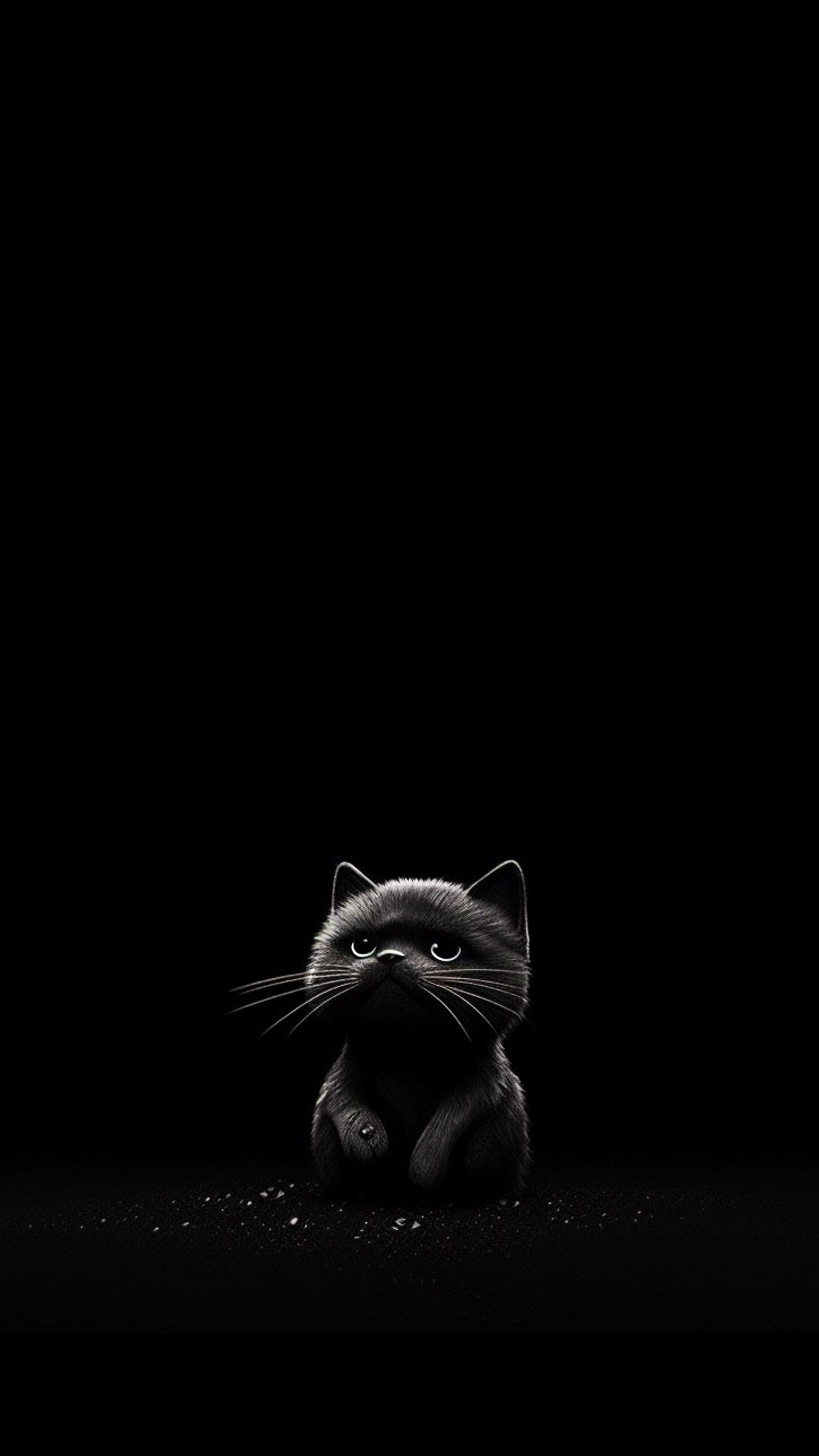 Cute Black Kitten - cat wallpaper for Darkify