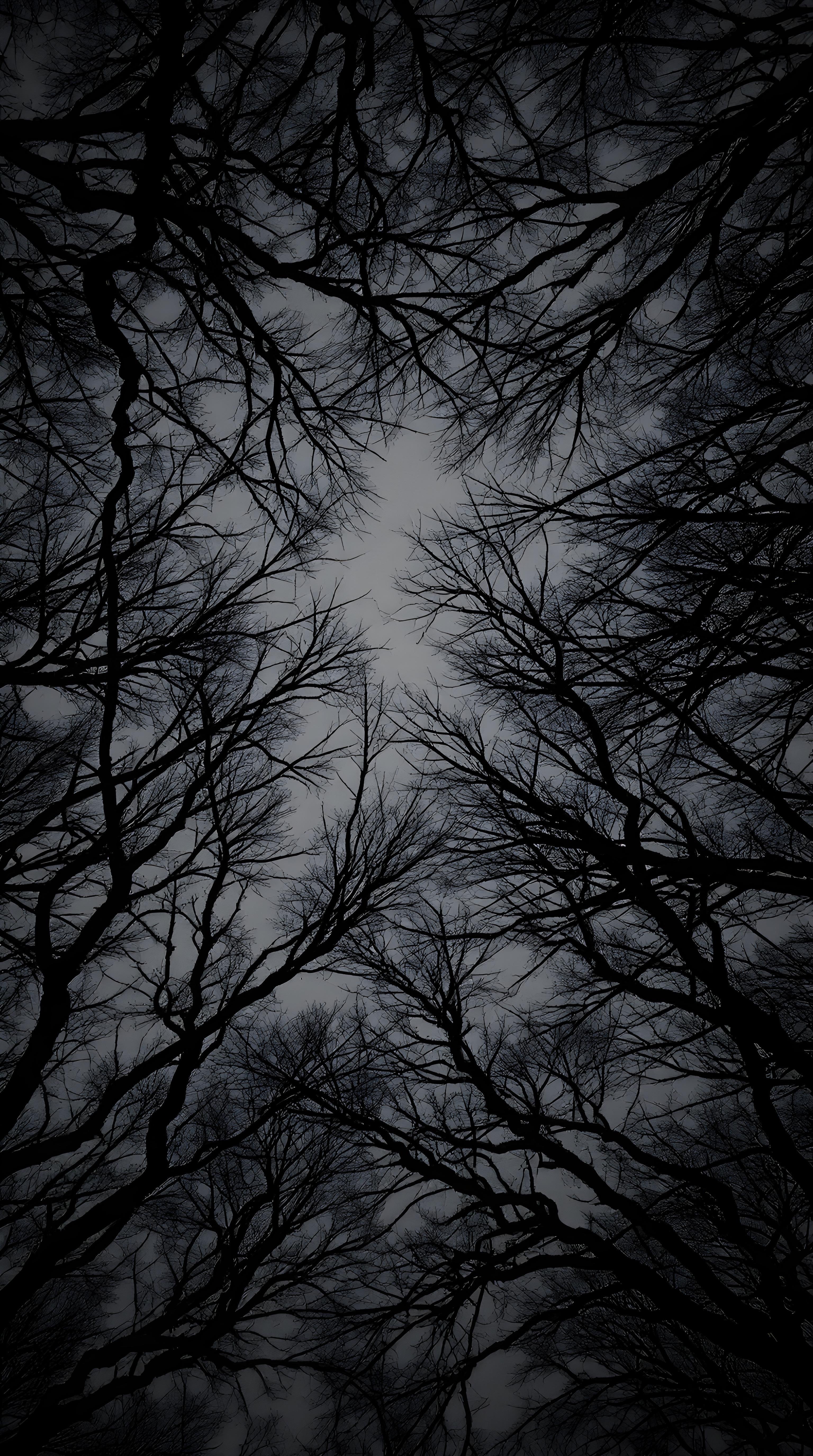 Dark Forest Canopy - forest wallpaper for Darkify