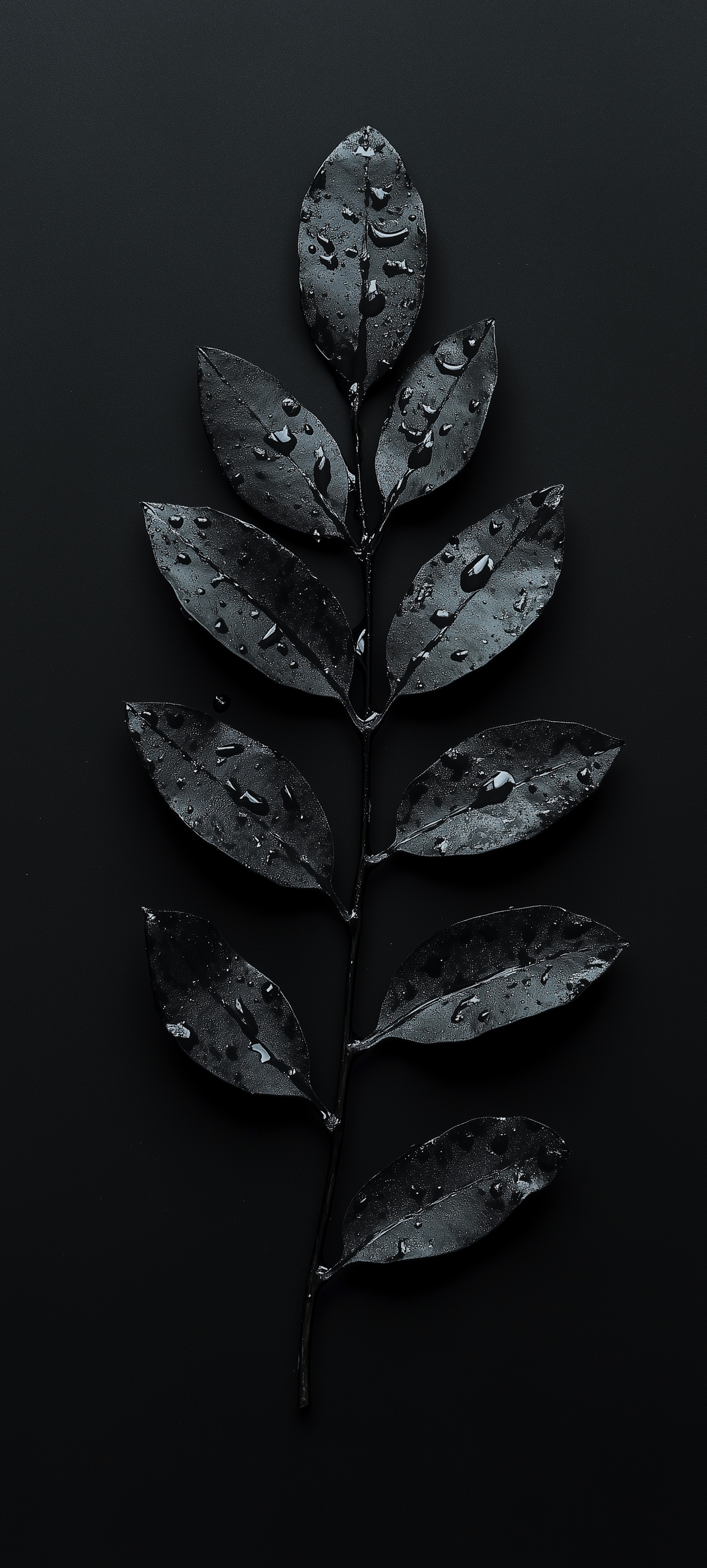 Dark Water Droplet Leaves - nature wallpaper for Darkify