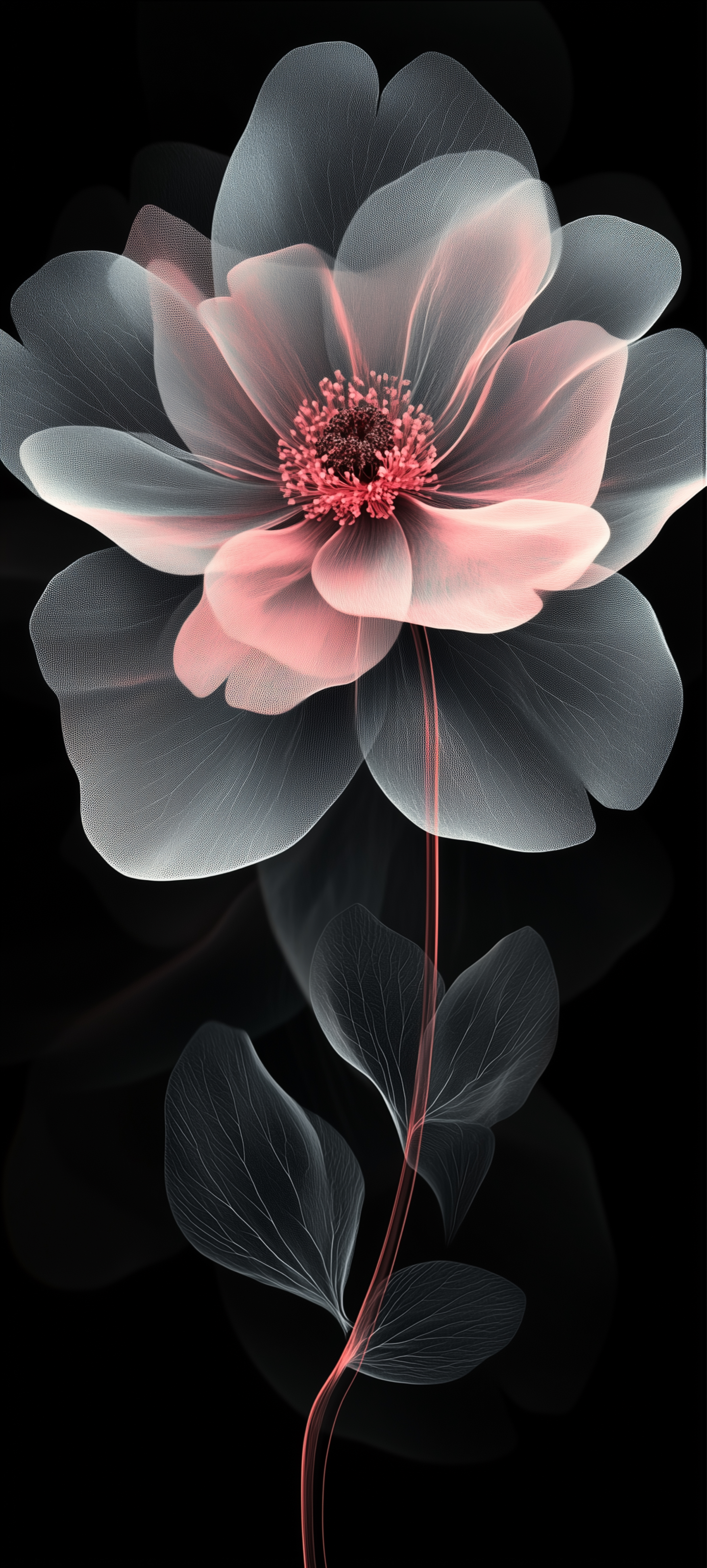 Ethereal Floral Design - floral wallpaper for Darkify