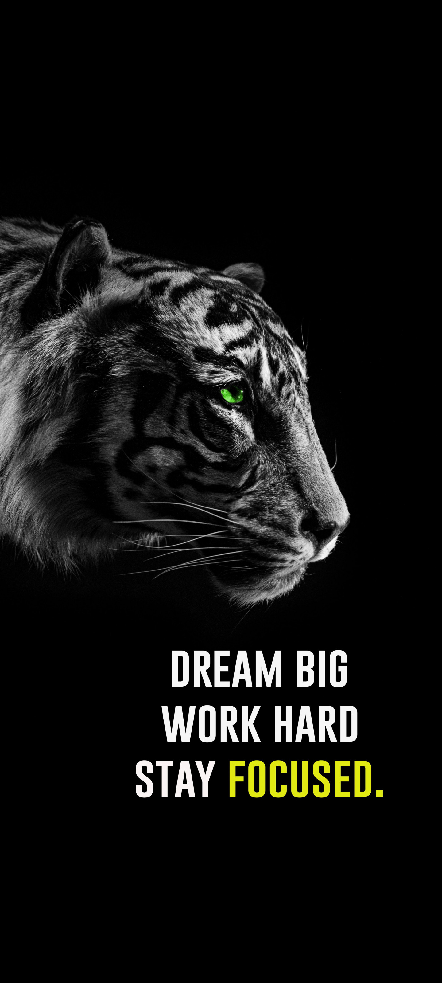 Focused Tiger Motivation - quotes wallpaper for Darkify