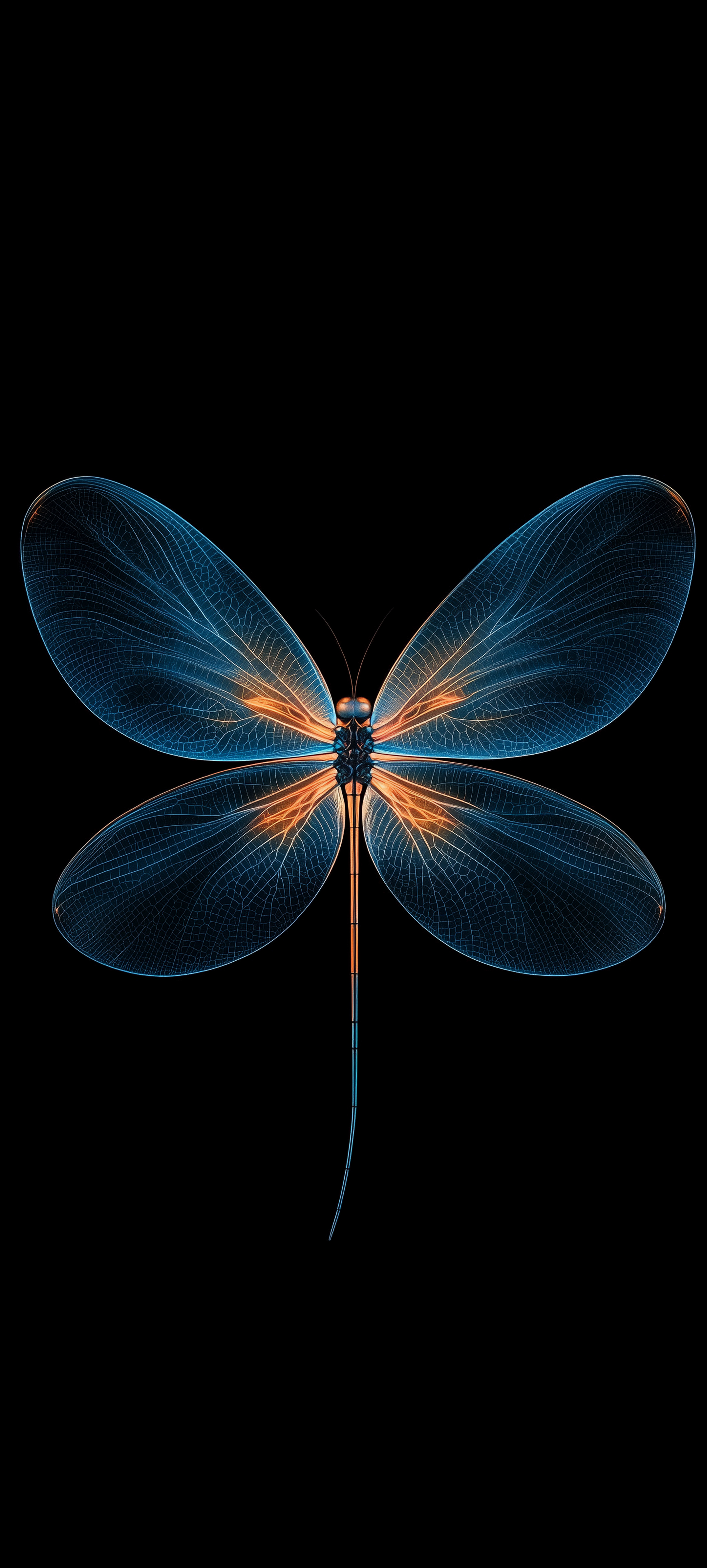 Glowing Dragonfly Silhouette - amoled wallpaper for Darkify