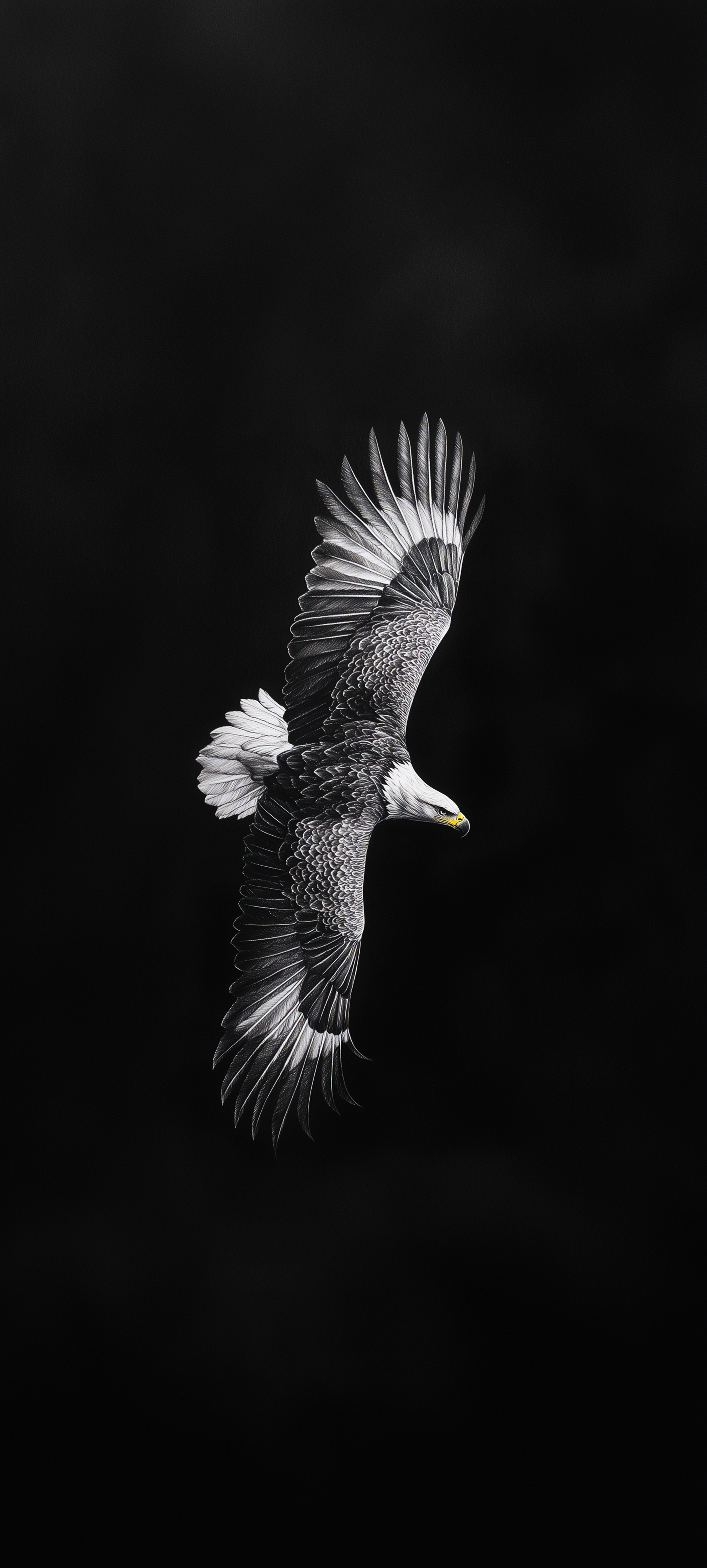 Majestic Eagle in Flight - eagle wallpaper for Darkify