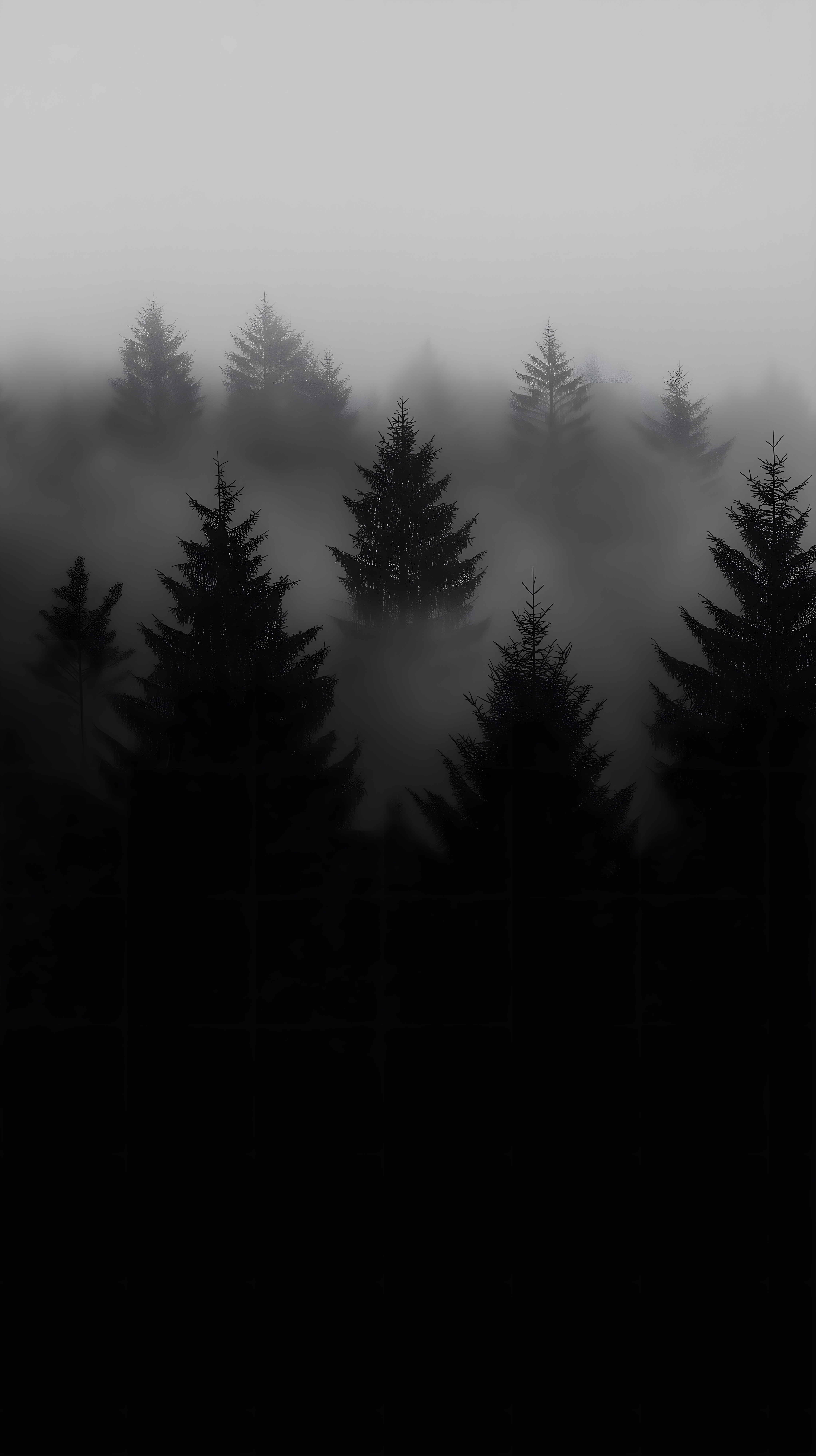 Misty Pine Forest - forest wallpaper for Darkify