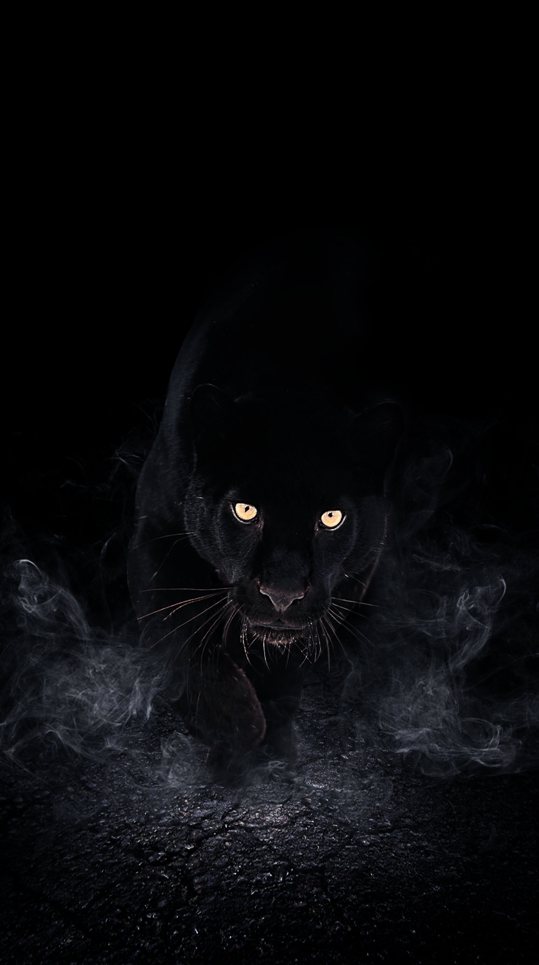 Mysterious Black Panther Smoke - animal wallpaper for Darkify