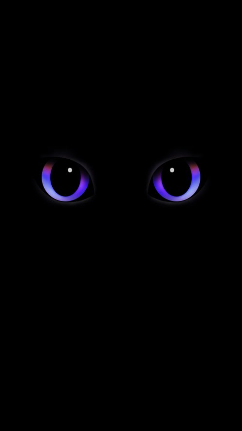 Glowing Purple Cat Eyes - cat Wallpaper