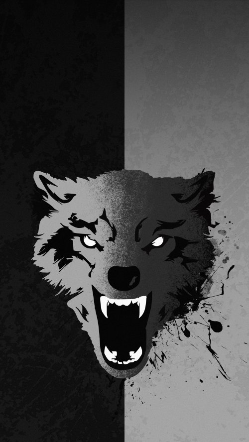 Split Tone Wolf Portrait - Related Darkify wallpaper