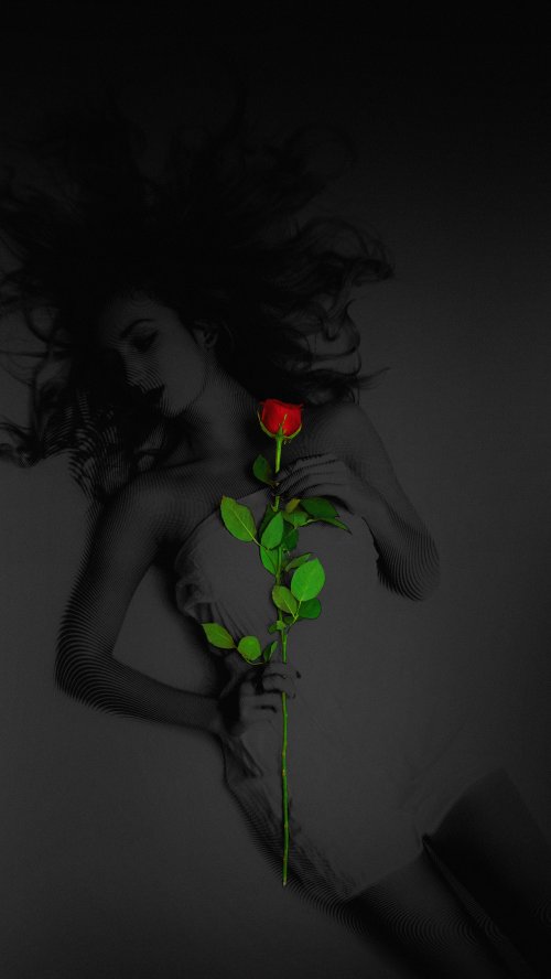Woman Holding Red Rose - Related OpersCraft wallpaper
