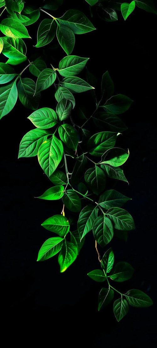 Vibrant Green Leaves Wallpaper - Related StockWalls wallpaper