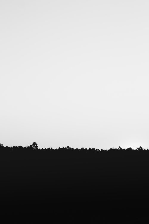 Minimalist Black Forest Silhouette - Related OpersCraft wallpaper
