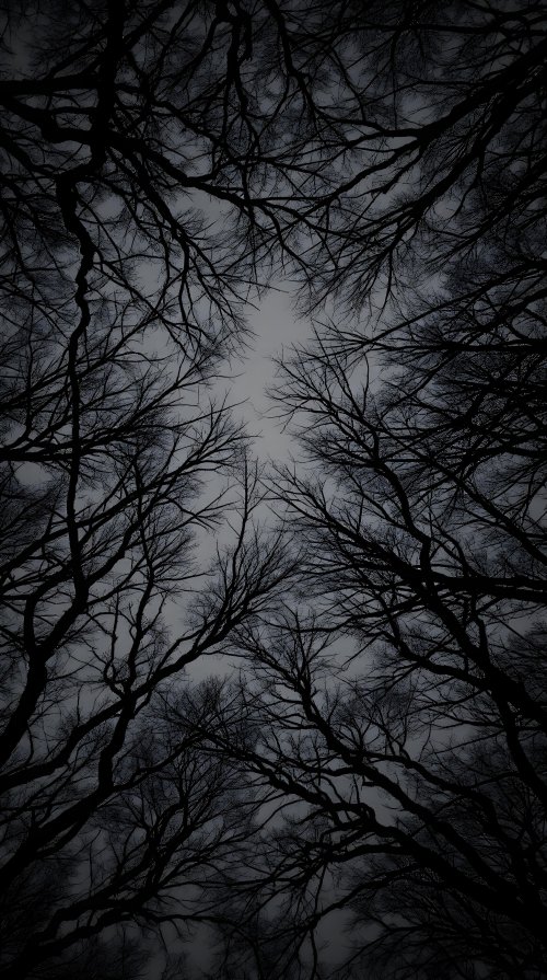 Dark Forest Canopy - Related OpersCraft wallpaper