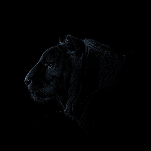 Dark Panther Sketch