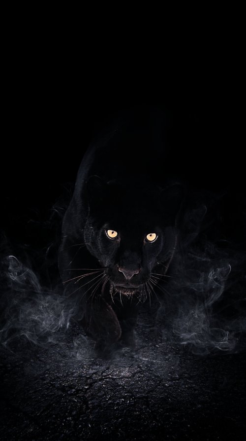 Mysterious Black Panther Smoke - Related OpersCraft wallpaper