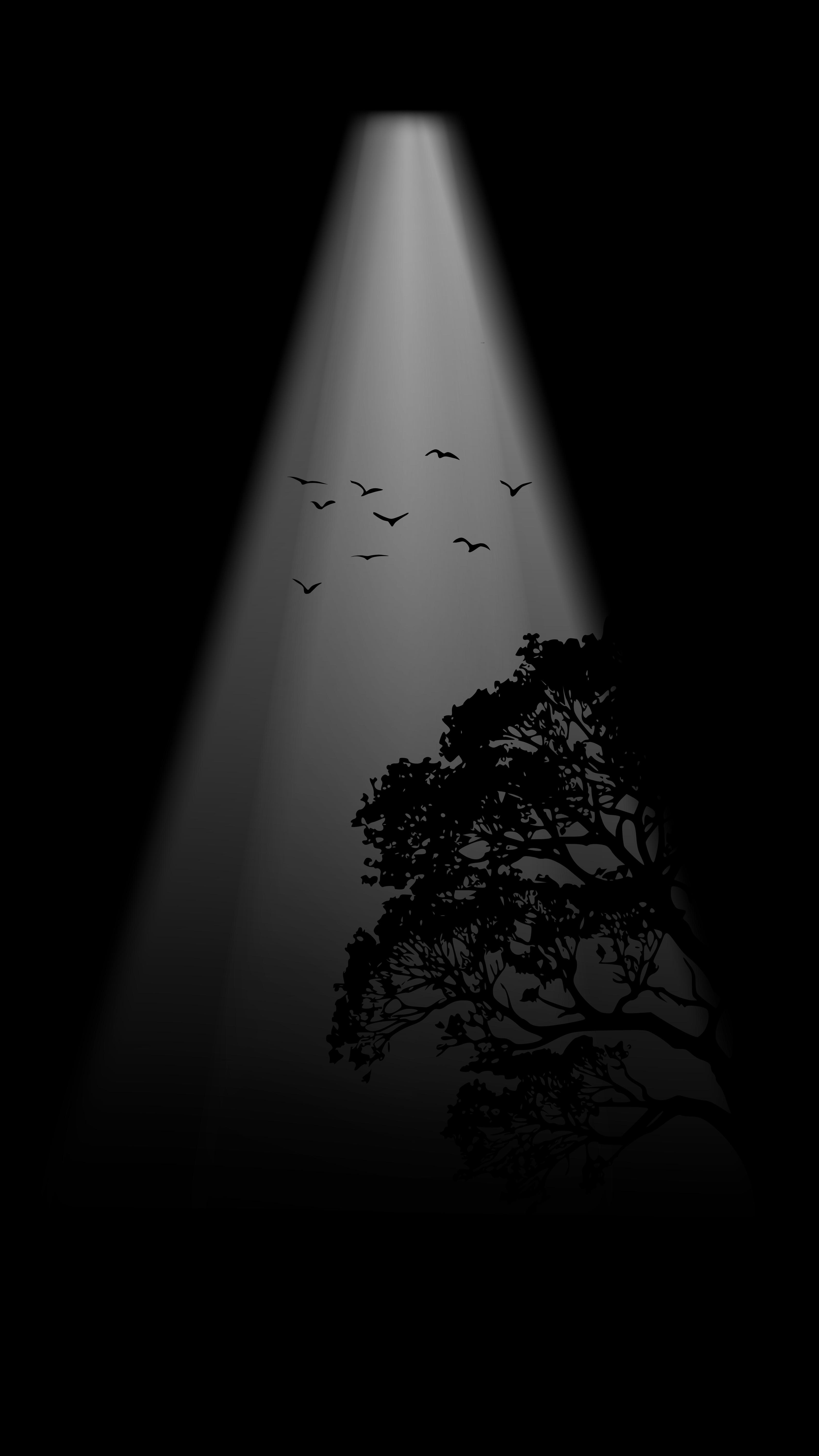 Spotlight Tree and Birds - nature wallpaper for Darkify