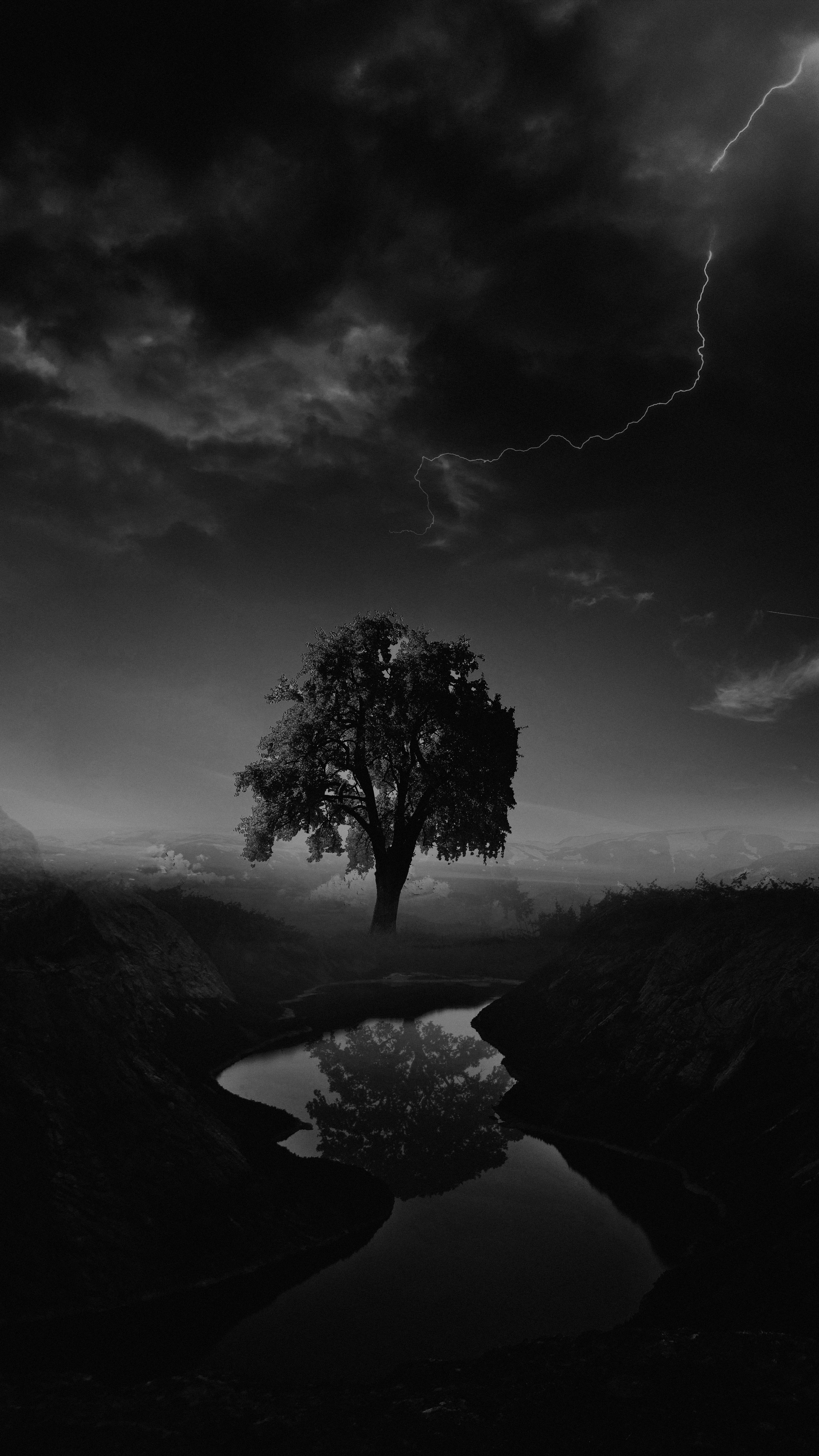 Stormy Tree Reflection - nature wallpaper for Darkify