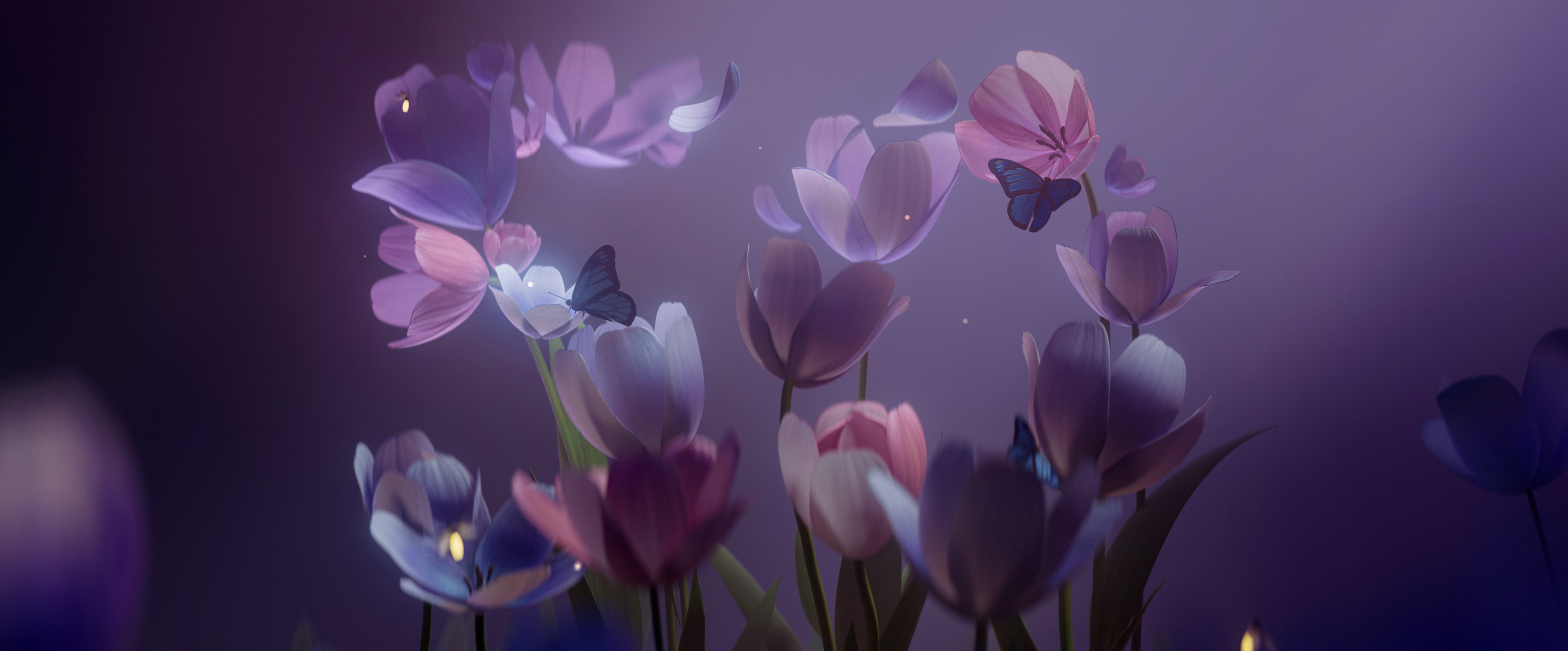 Microsoft_50th_Tulips_Dark_Wide - microsoft wallpaper for Desktop & Laptop