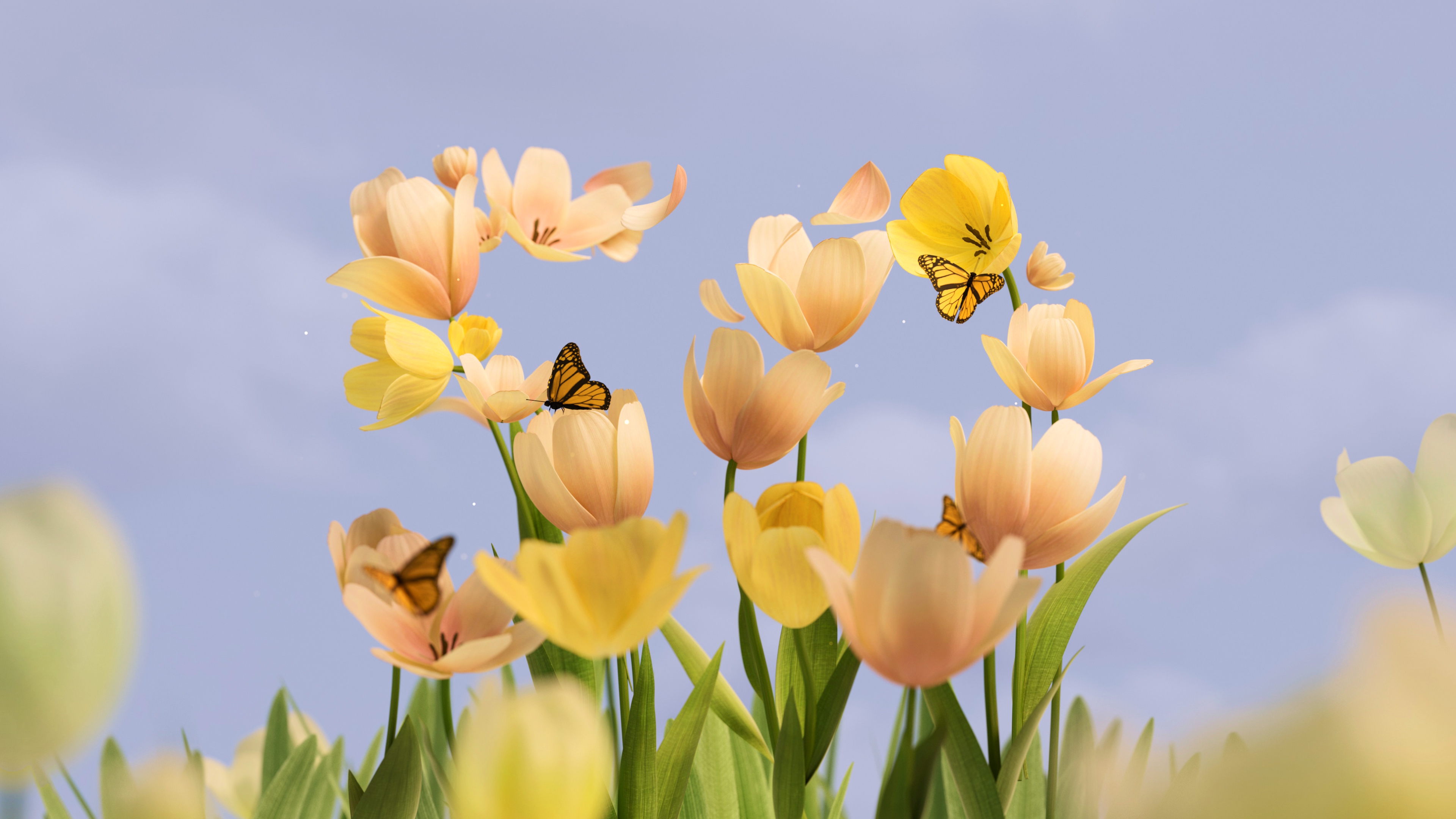 Microsoft_50th_Tulips_Light_4k - microsoft wallpaper for Desktop & Laptop
