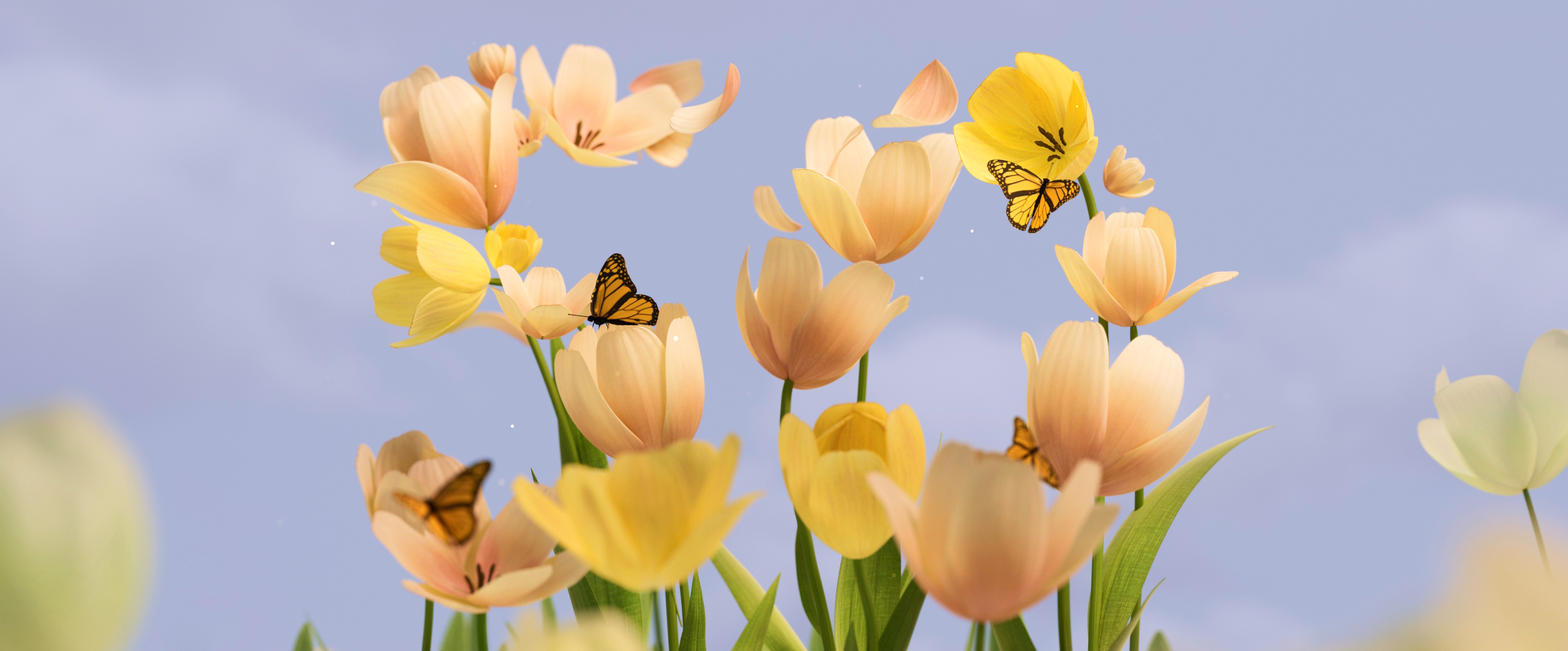 Microsoft_50th_Tulips_Light_Wide - microsoft wallpaper for Desktop & Laptop