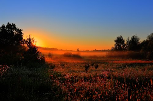 Golden Sunrise Meadow - Related StockWalls wallpaper