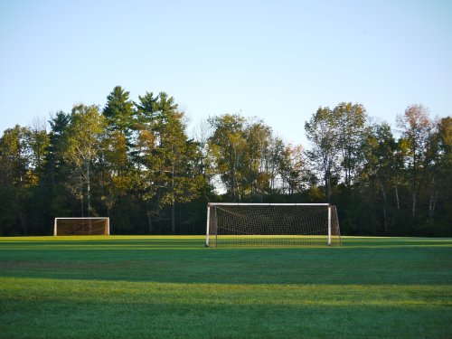 Soccer Field Goals