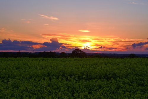 Sunset Over Yellow Field - Related OpersCraft wallpaper