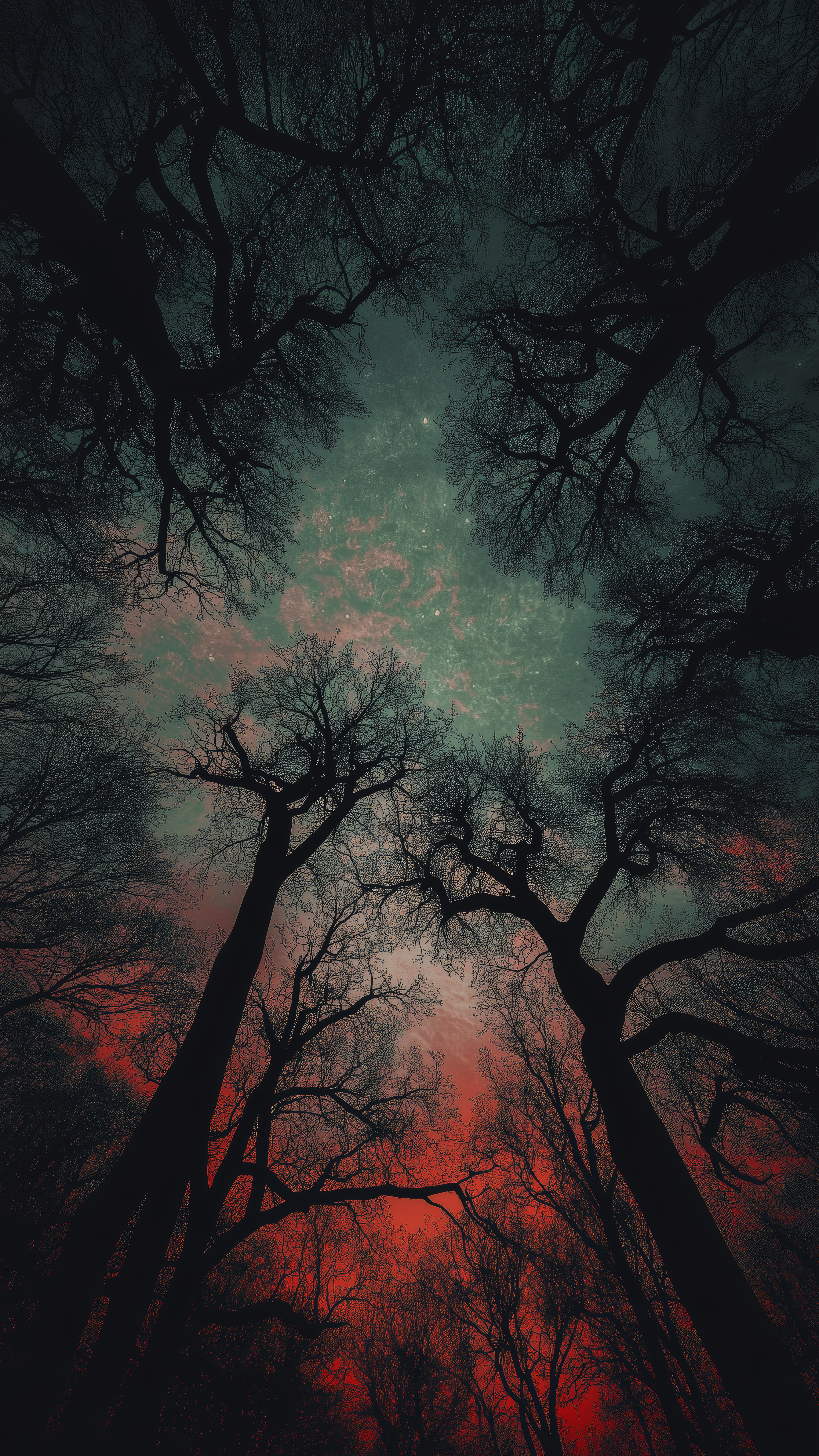Eerie Forest Night Sky - nature wallpaper for OpersCraft
