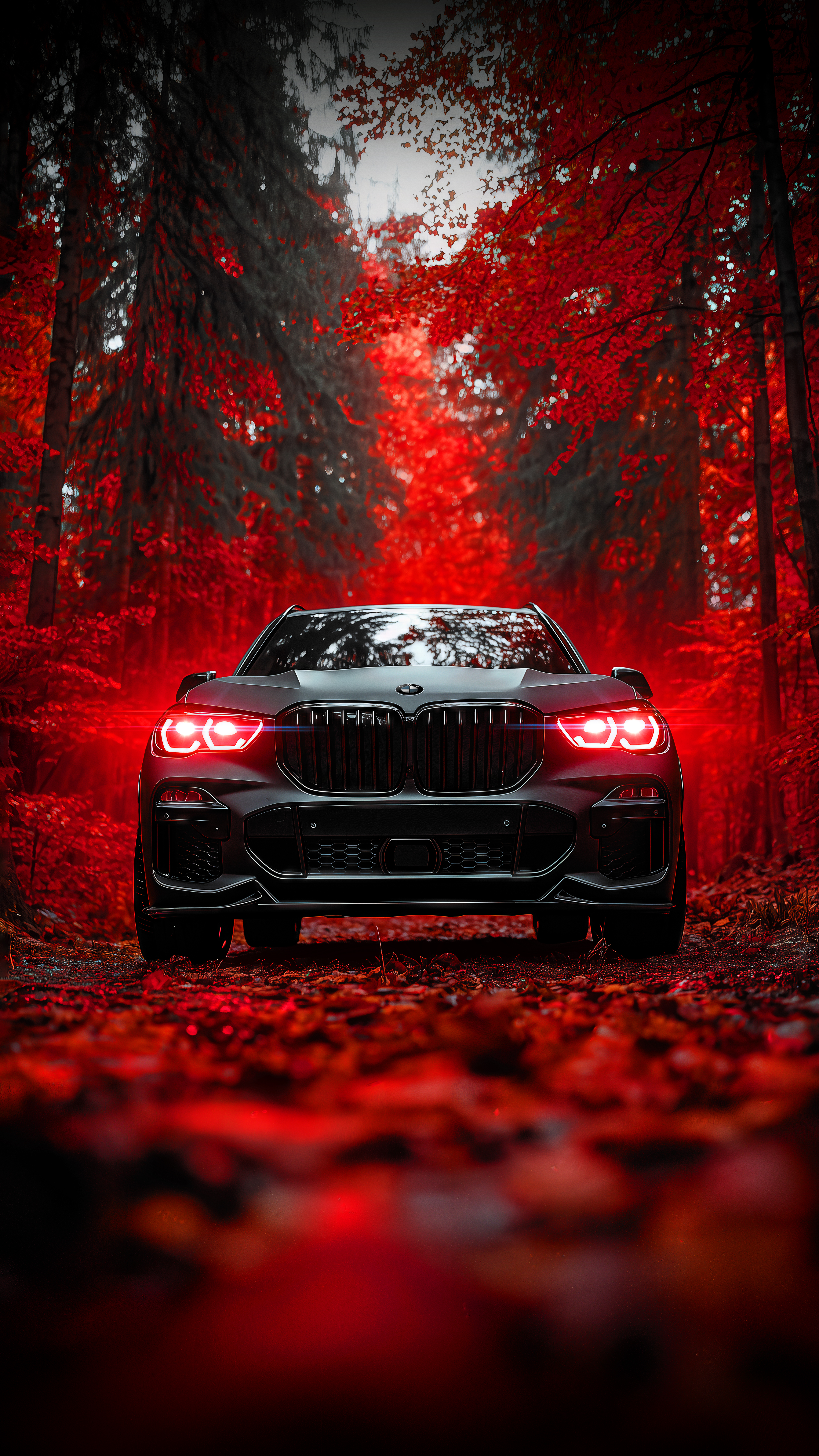 Black BMW Red Forest - bmw wallpaper for OpersCraft