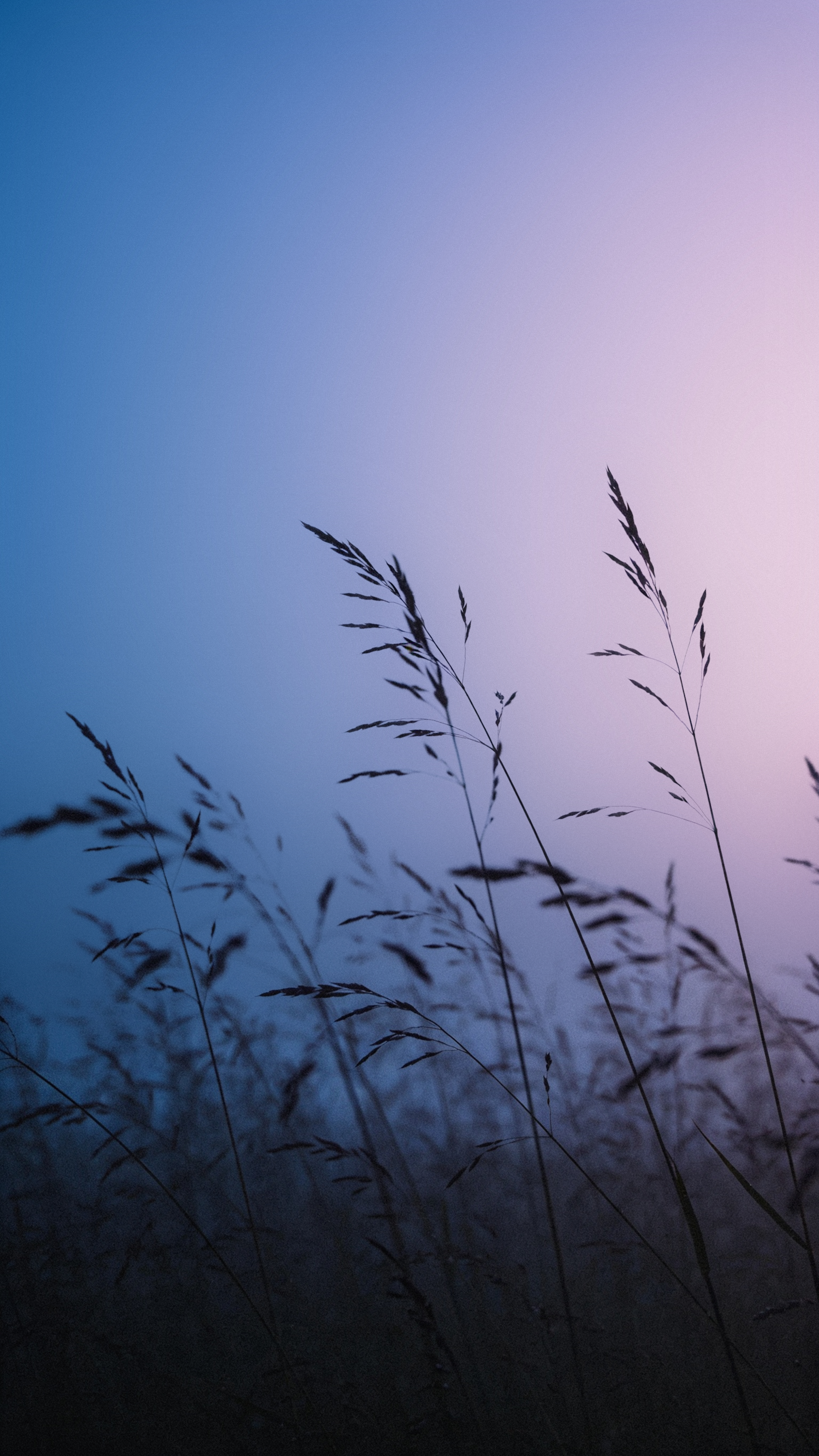 Minimalist Grass Silhouette Wallpaper - nature wallpaper for OpersCraft