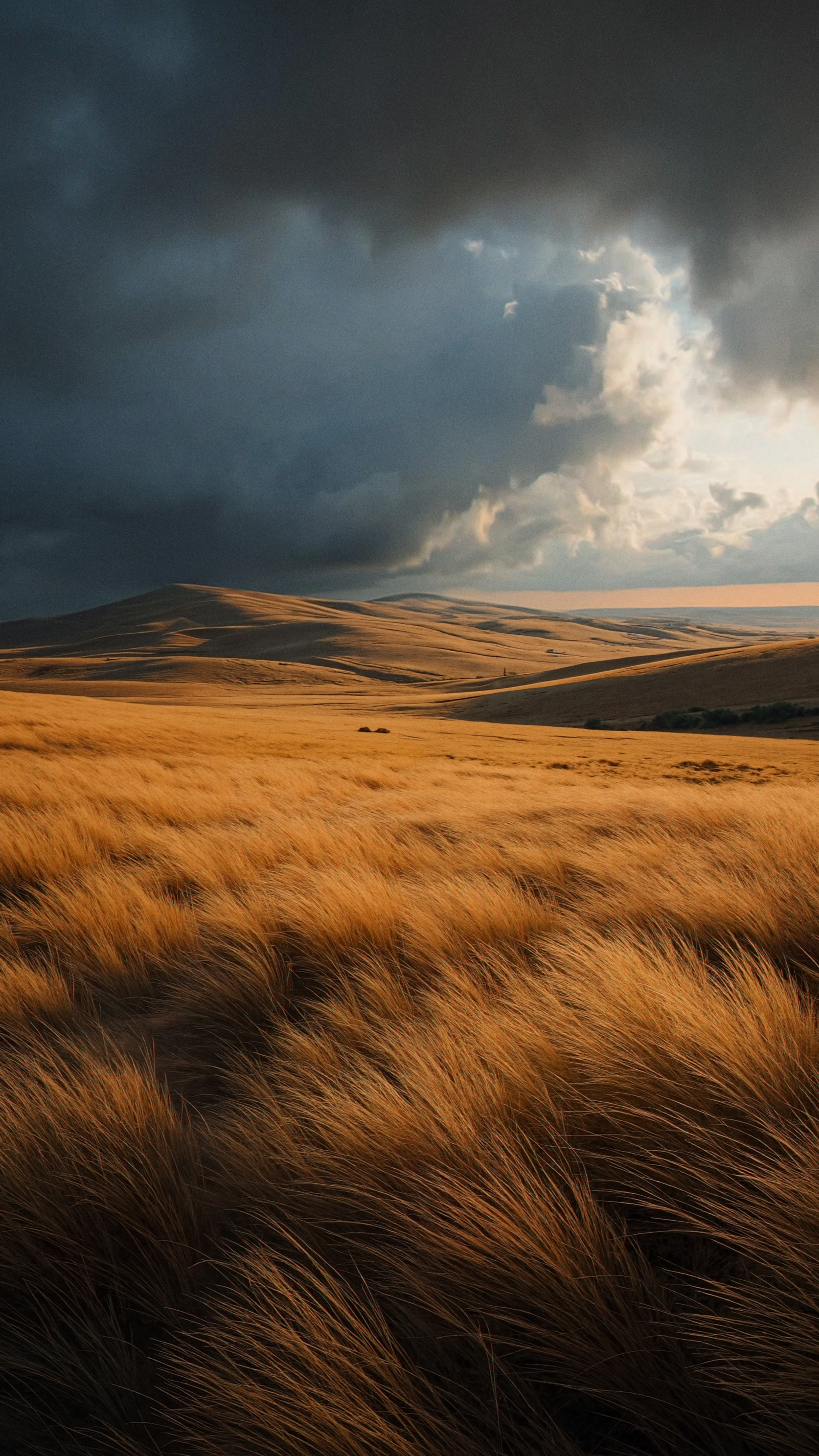 Golden Wheat Field Landscape - nature wallpaper for OpersCraft