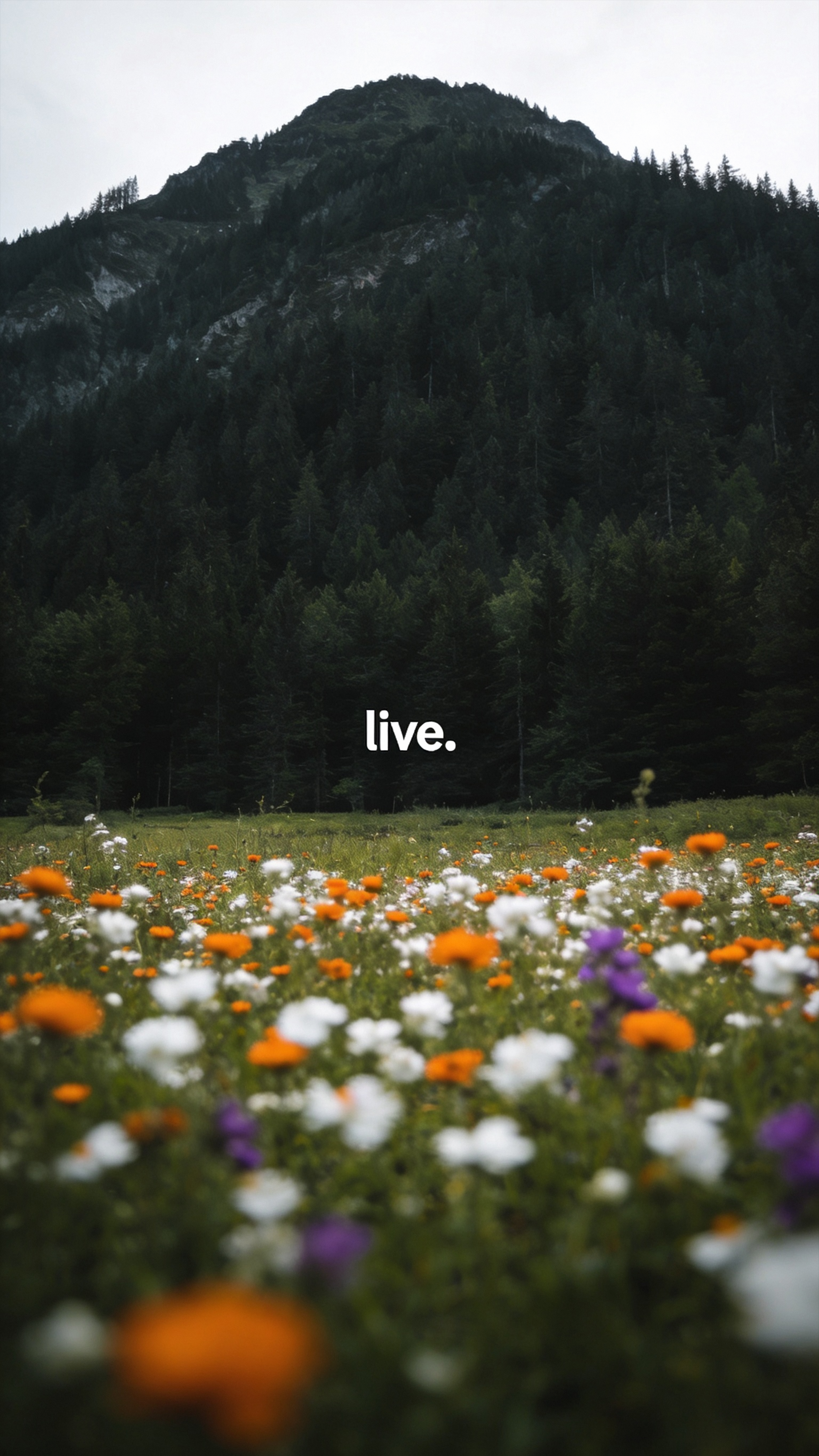 Live Mountain Meadow Wallpaper - nature wallpaper for OpersCraft