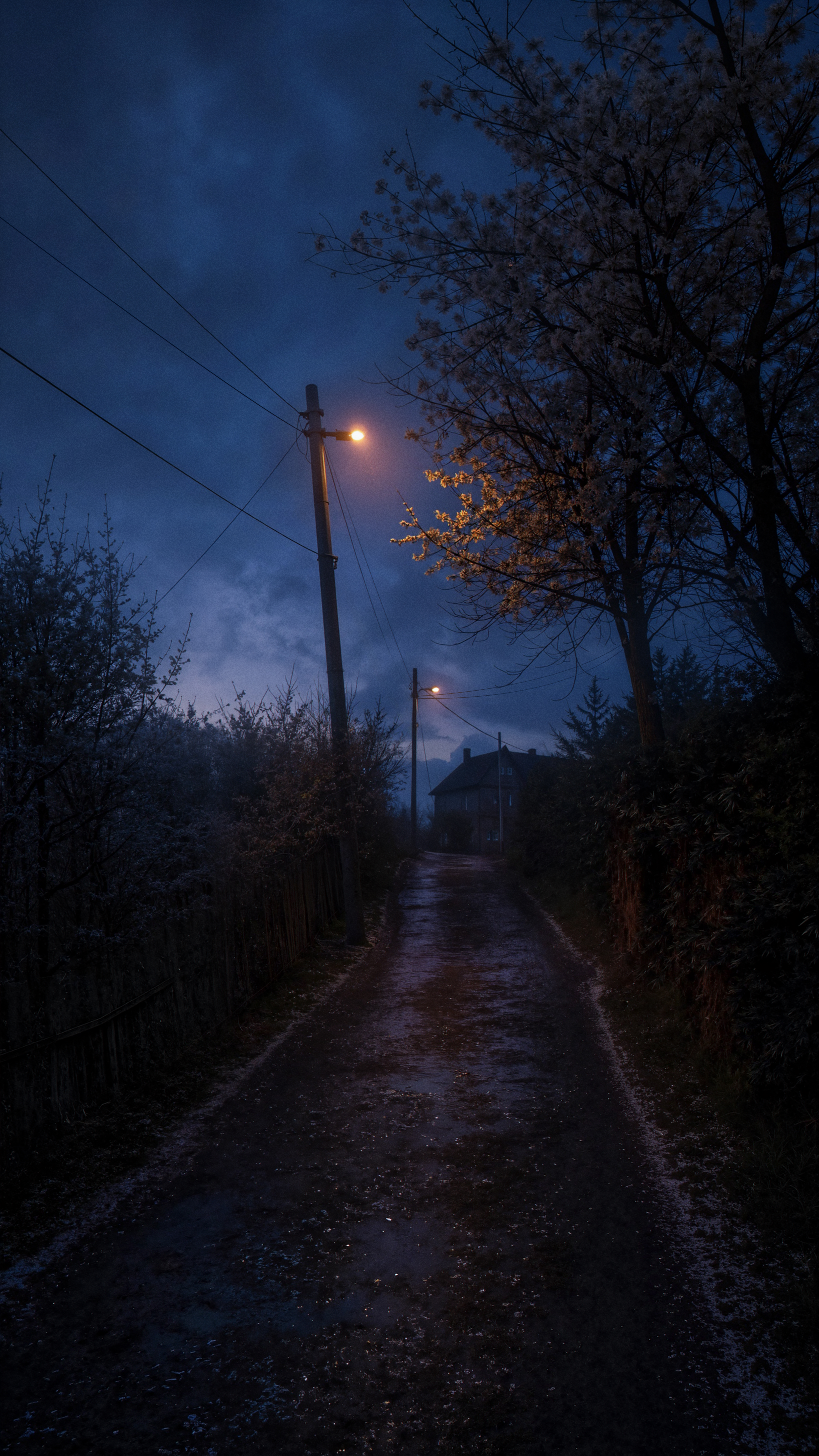 Quiet Night Country Road - night wallpaper for OpersCraft