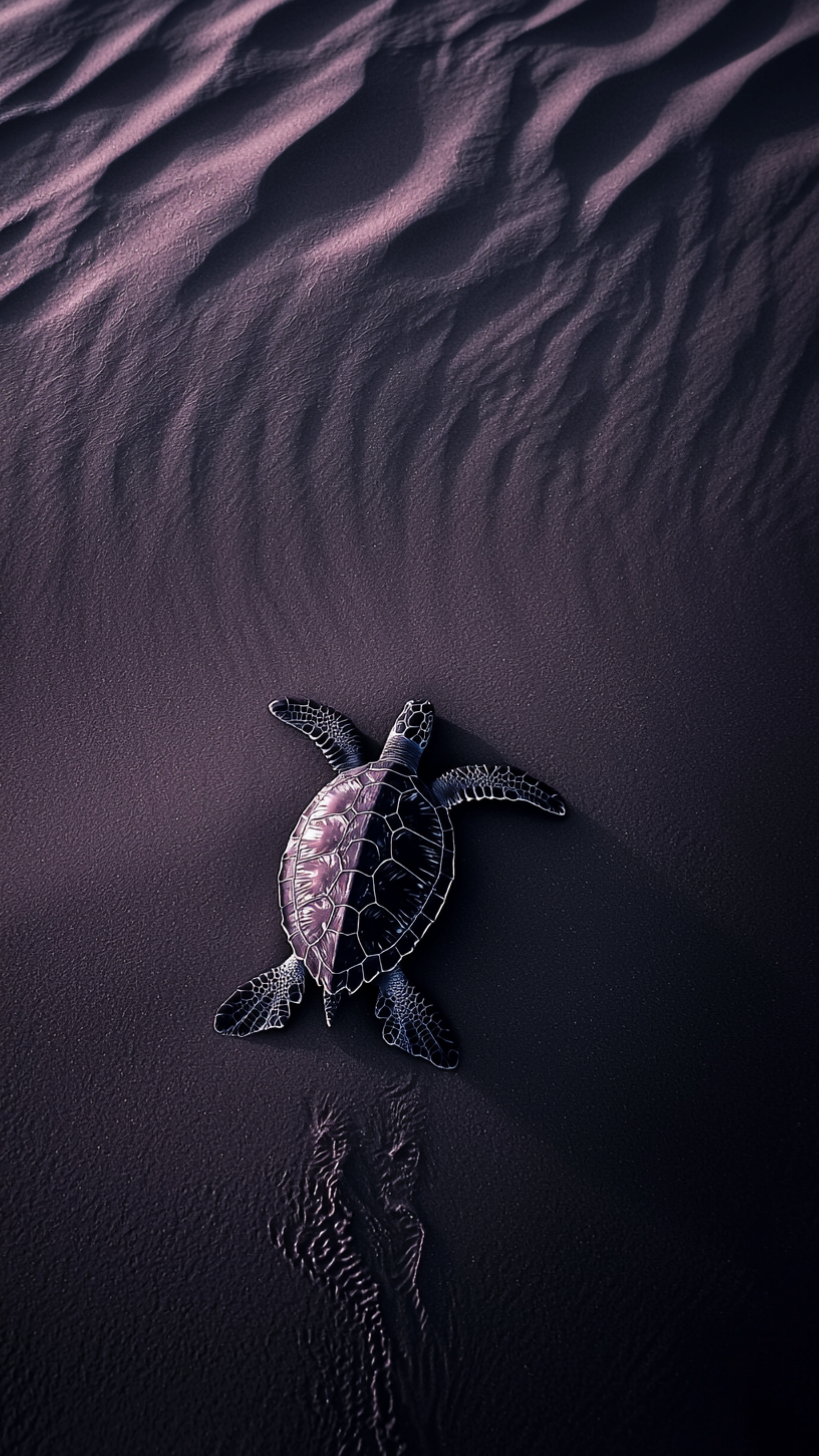 Baby Sea Turtle Journey - turtle wallpaper for OpersCraft