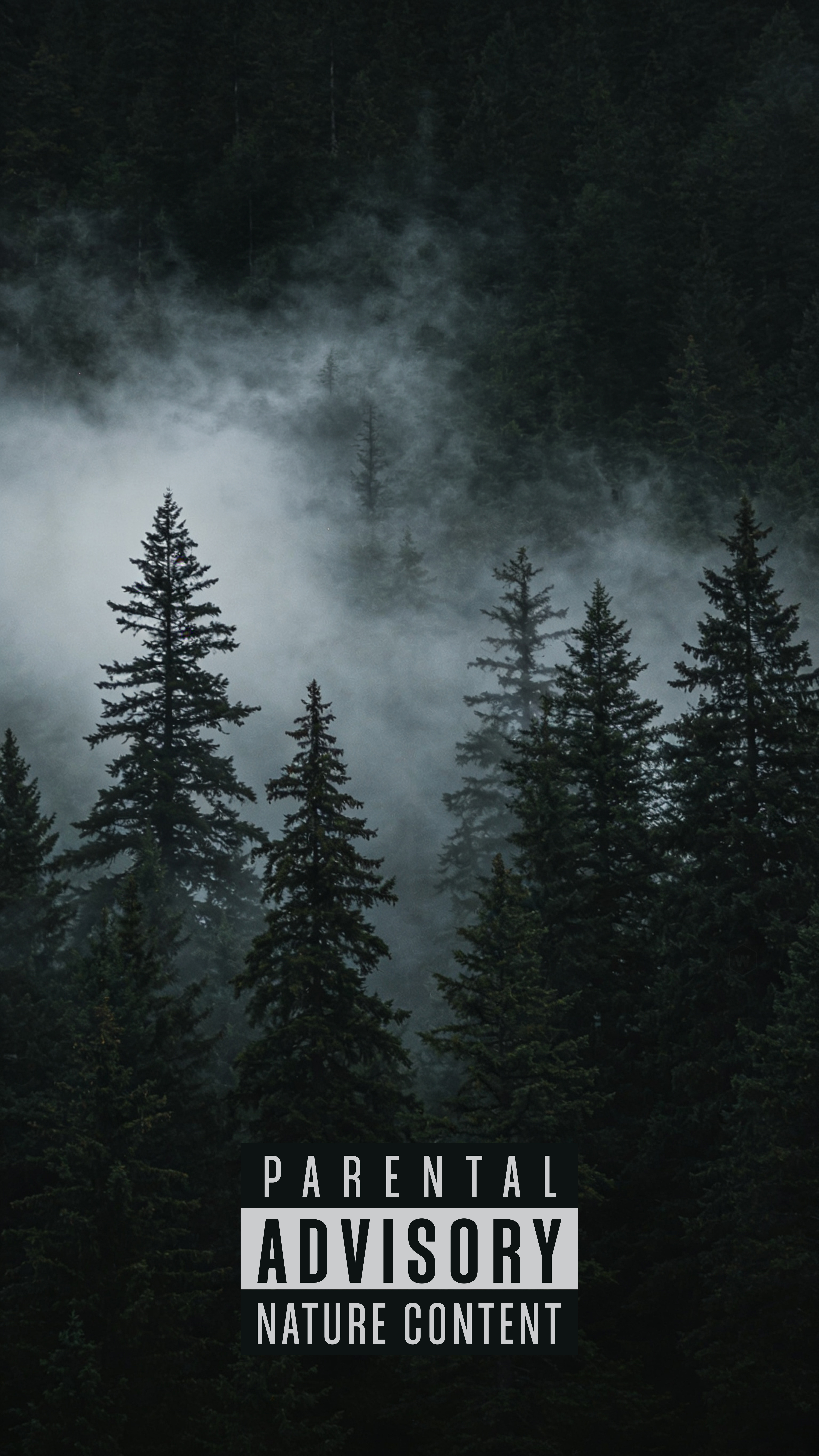 Misty Forest Nature Content - forest wallpaper for OpersCraft