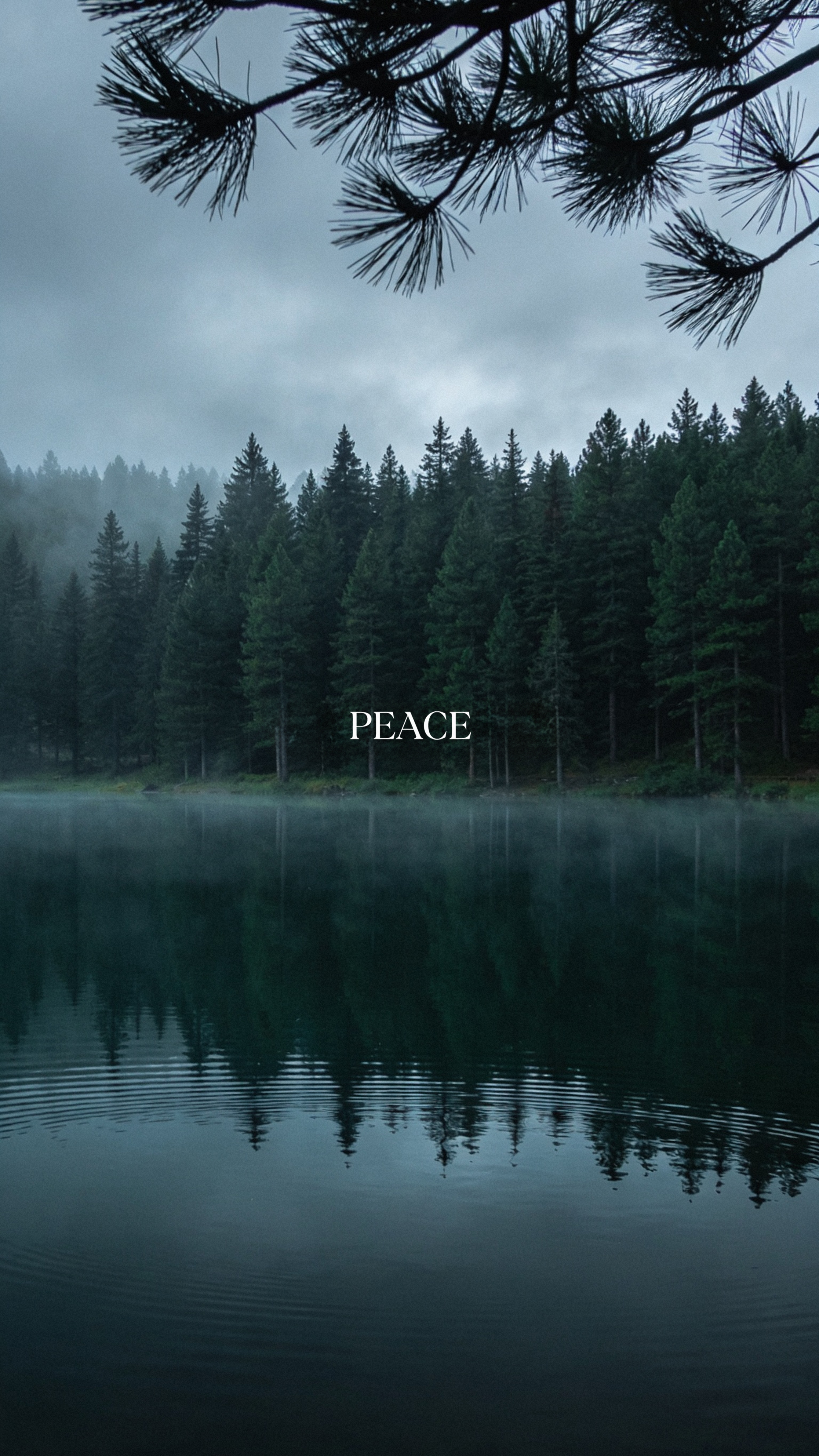 Peaceful Misty Forest Lake - nature wallpaper for OpersCraft