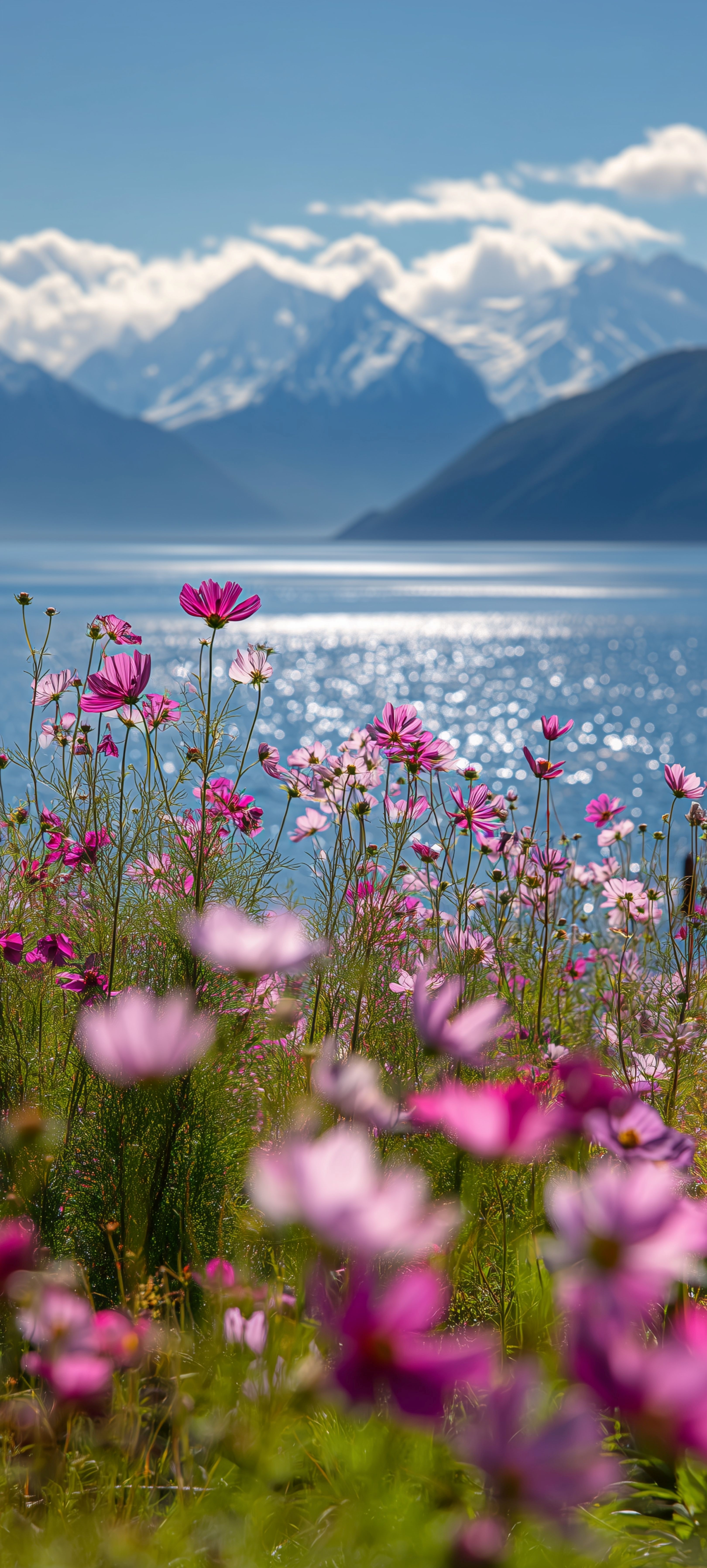 Pink Flowers Mountain Lake - flowers wallpaper for OpersCraft