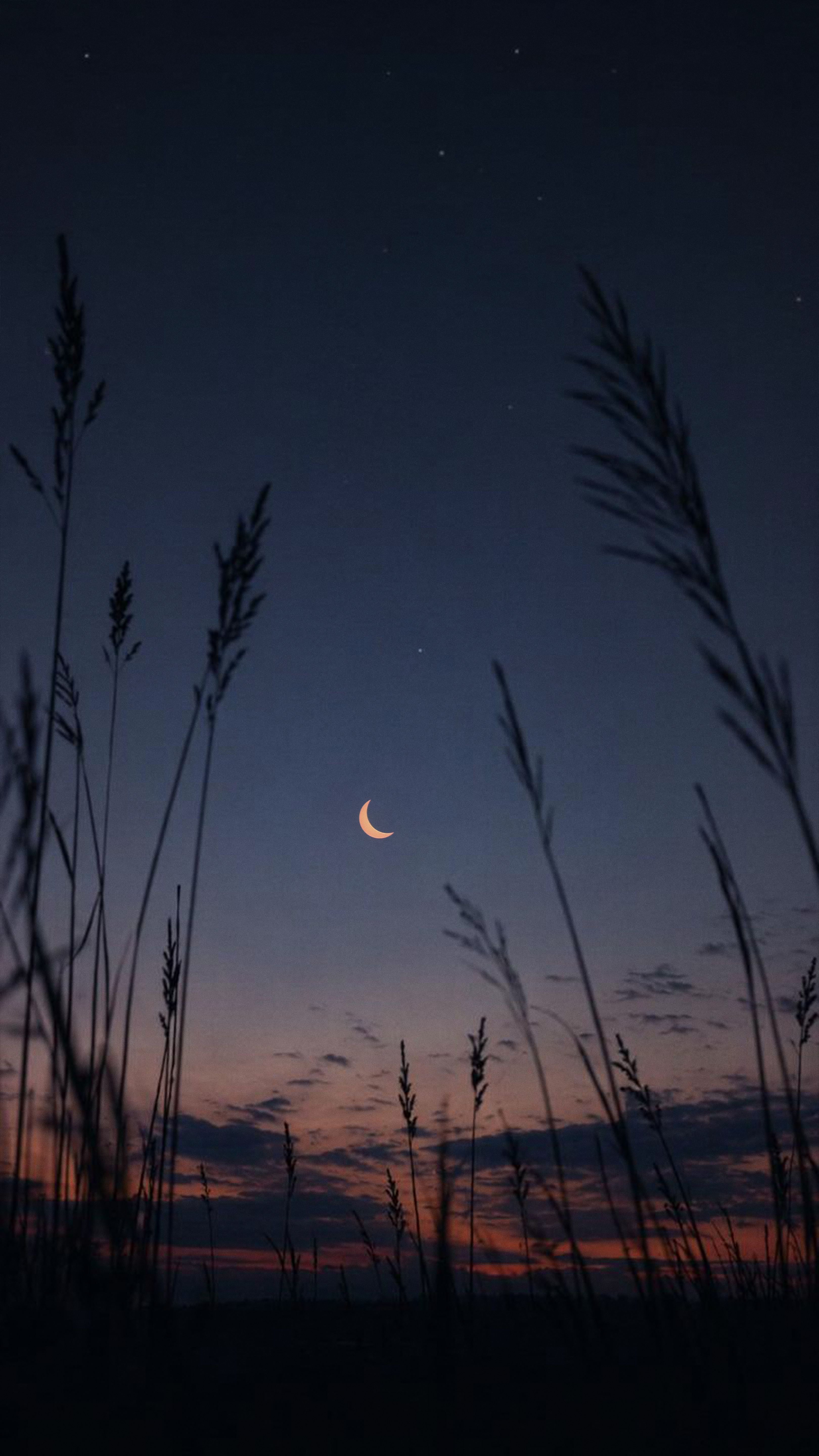 Crescent Moon Twilight View - moon wallpaper for OpersCraft