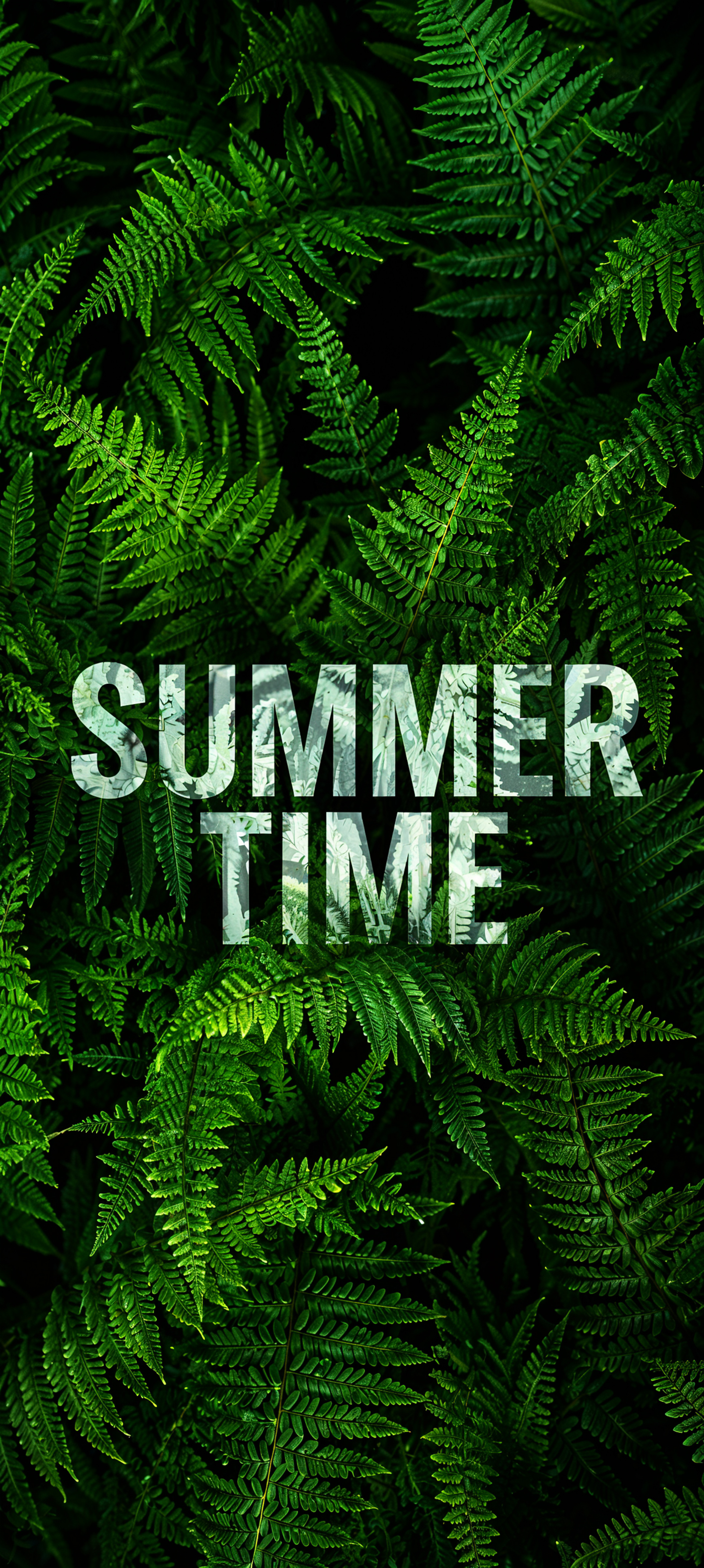 Summer Time Fern Leaves - plant wallpaper for OpersCraft