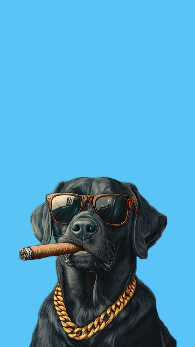 Cool Gangster Dog Wallpaper - dog wallpaper for OpersCraft