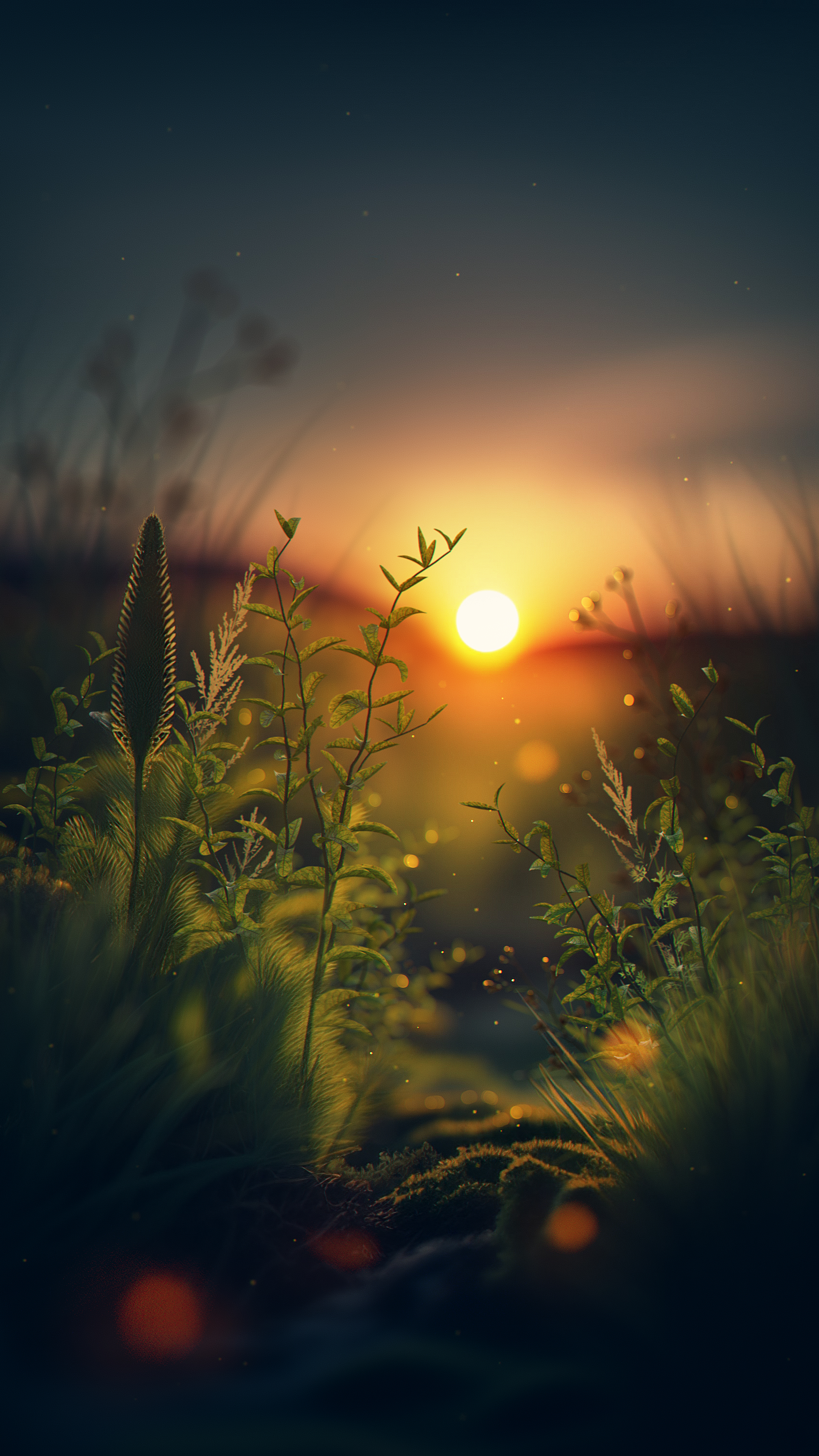 Golden Sunset Meadow Glow - sunset wallpaper for OpersCraft