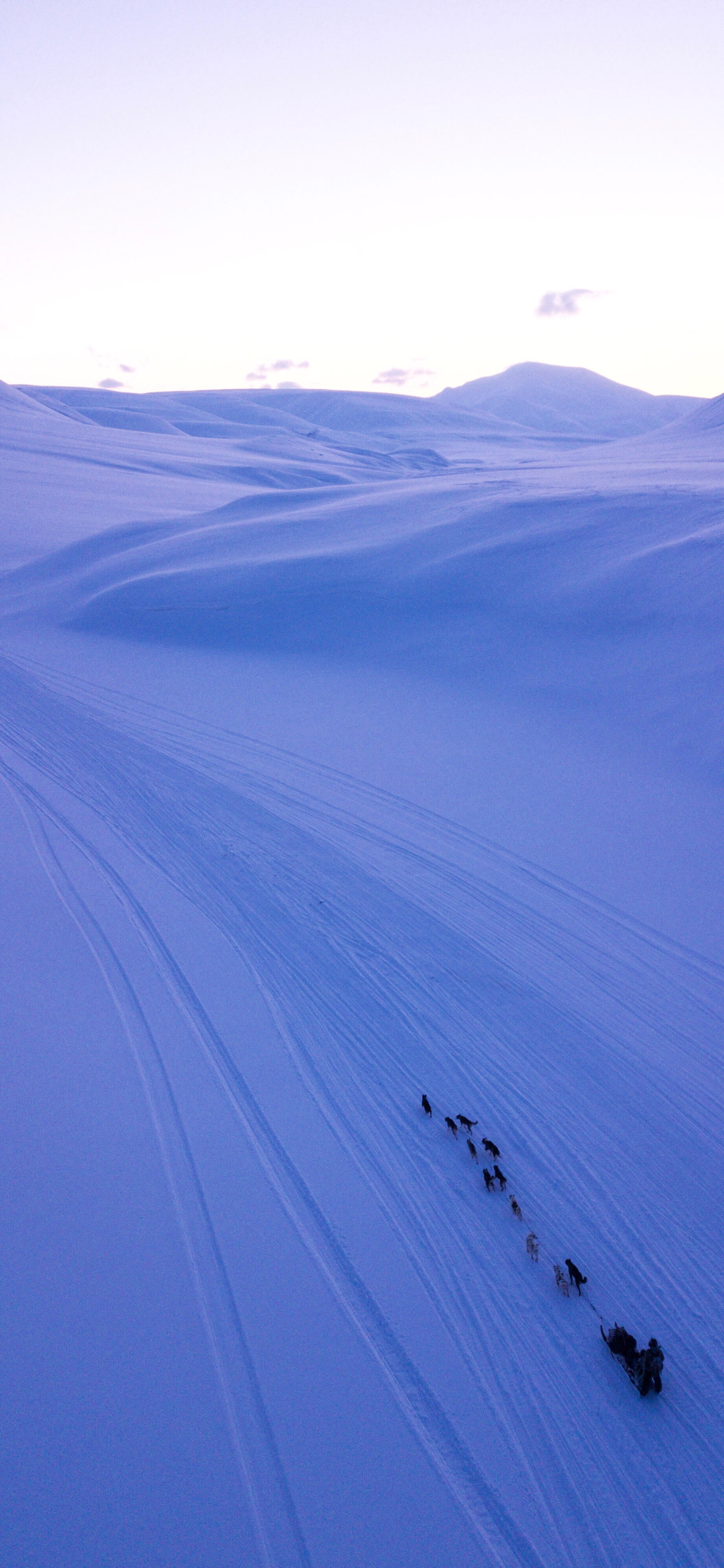 Arctic Dog Sled Adventure - winter wallpaper for OpersCraft