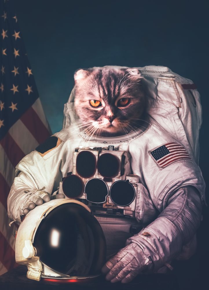 Astronaut Cat in Space - cat wallpaper for OpersCraft