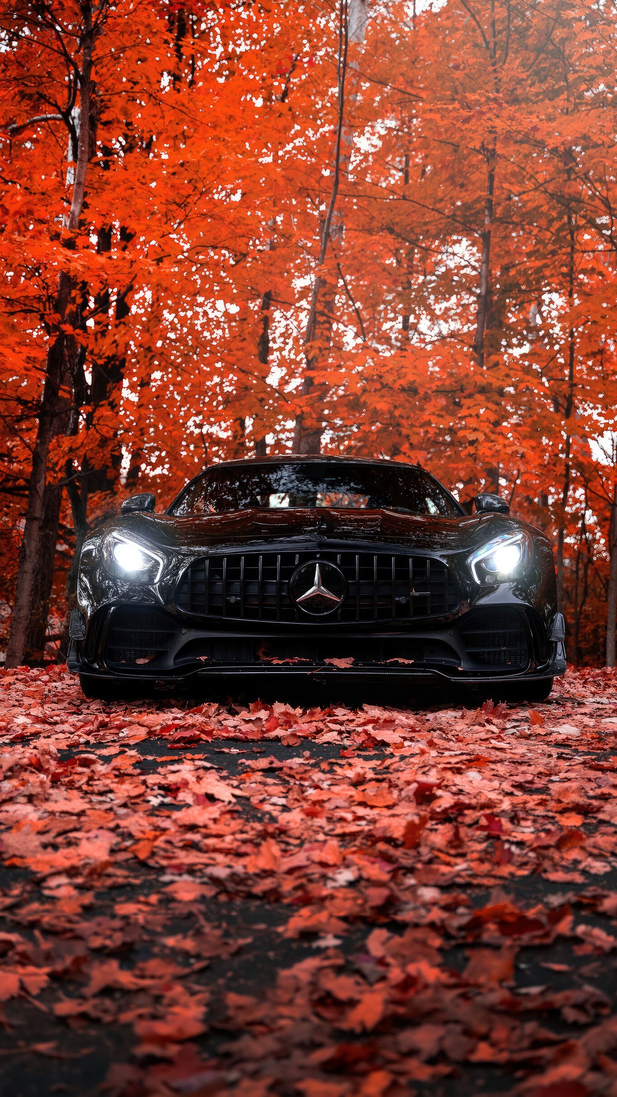 Autumn Mercedes AMG - random wallpaper for OpersCraft
